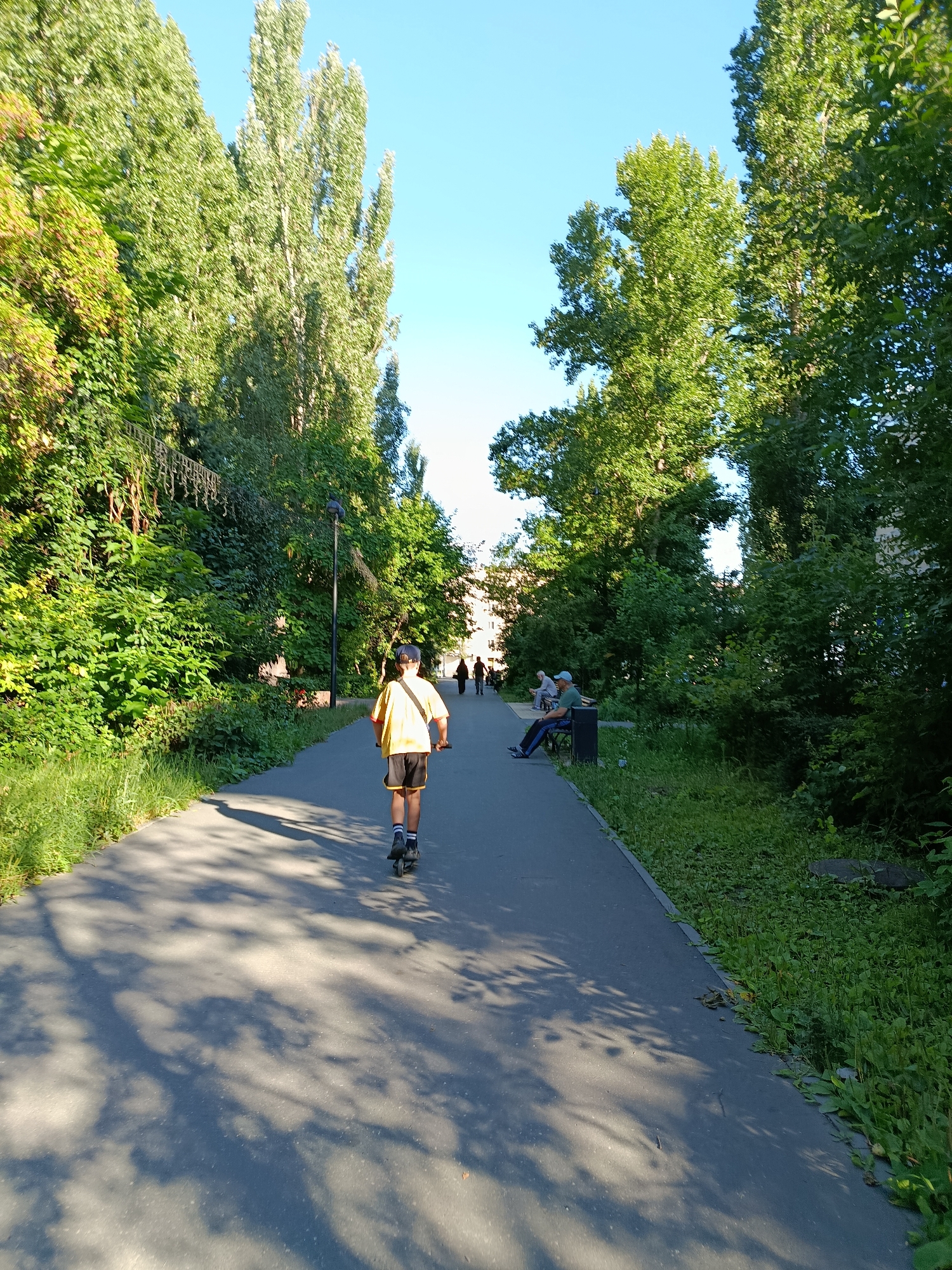 The media file depicts a park scene on a clear, sunny day, likely in the afternoon given the long shadows cast by the trees. The primary subject in the foreground is a young person riding a scooter down a paved path. They are wearing a yellow t-shirt, black shorts, a blue baseball cap, and white socks with black stripes.
The path is flanked by lush green trees and vegetation, suggesting a well-maintained park or recreational area. In the middle ground, a few other individuals are visible. Some are seated on a park bench, while others are walking further down the path. The overall mood appears relaxed and leisurely, with people enjoying the outdoors.
The setting suggests an urban park, possibly in Saratov, Russia, as indicated by the context. The clear blue sky and bright sunlight contribute to a feeling of warmth and pleasant weather. There are no visible text elements in the image. The presence of mature trees and manicured greenery points to a location designed for public use and relaxation. The dappled sunlight filtering through the leaves adds a visual texture to the scene.