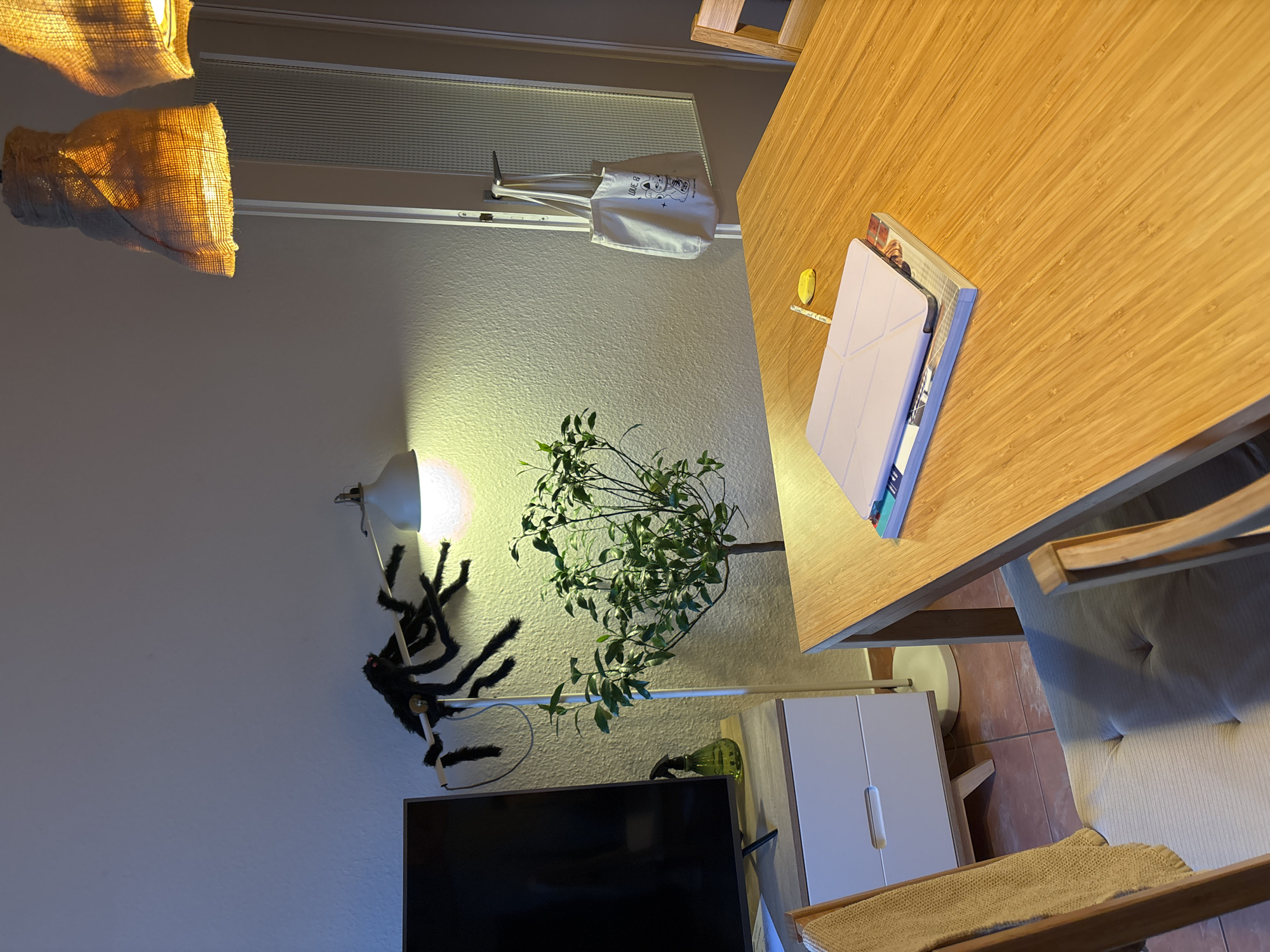 The image, oriented vertically, captures an indoor living space, likely a dining or living room, illuminated by artificial light, suggesting evening or night. The room features a warm color palette with wooden furniture and subtle decor.
In the foreground and right side, a light-colored wooden table, possibly bamboo, dominates, featuring a distinctive parallel grain pattern. On the table, a light-colored tablet or e-reader in a geometrically patterned case rests on a book or magazine. A small yellow, possibly pen-like, object is also on the table. A chair with a light-colored, cushioned seat and wooden frame is partially visible beneath the table.
The left side of the image shows a white wall with a textured finish. Two pendant lights with woven, burlap-like shades hang from the ceiling, casting warm, yellow light downwards. A white wall lamp with a bright light source is positioned lower on the wall. Below this lamp, a large, black, furry spider decoration with red eyes is prominently displayed, appearing to crawl up the wall or onto the lamp.
A medium-sized green plant in a pot stands on the floor or a low surface near the wall lamp. Below the plant and spider, a flat-screen television is visible. To the right of the television, a small white cabinet with two drawers or doors stands next to a white floor lamp. A small green glass bottle is perched on a surface near the television. High on the wall, above the plant and lamp, a white canvas tote bag with cartoon-like illustrations and the partial text "LILIE & G" hangs from a white fixture, possibly a curtain rod or shelf. A rectangular, slatted window or vent is also visible near the top of the wall. The floor appears to be tiled with warm, reddish-brown tiles. No people are visible.