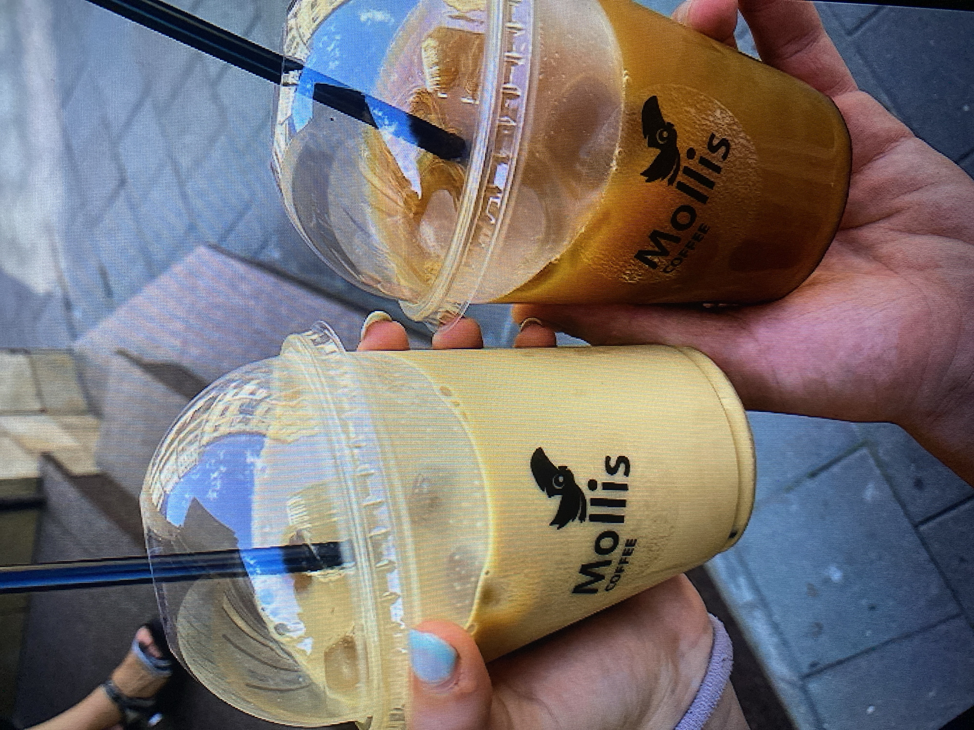 Two iced coffee drinks are held by two individuals. The coffee on the left is lighter in color and the cup has a logo that reads "Mollis Coffee." The coffee on the right is darker and also has a "Mollis Coffee" logo. The drinks are in clear plastic cups with domed lids and straws. The background appears to be a sidewalk with cobblestone pavement. The scene is outdoors and appears to be in a city. This is confirmed by the presence of a sign visible in the background which reads "Wolves Den" in Polish, a known establishment in Poznan, Poland.