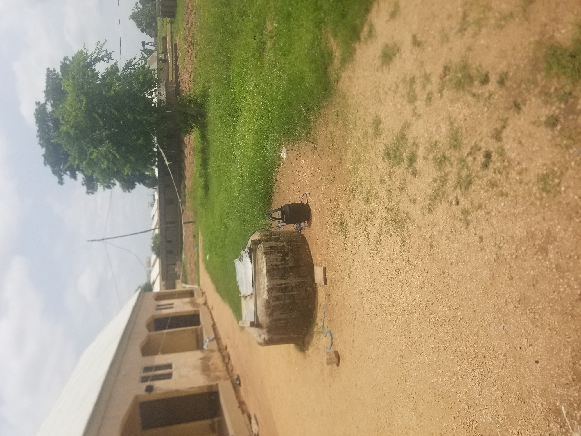 This media file captures an outdoor scene in Jauro Yinu, Nigeria. The image is oriented vertically, presenting a view of a dirt path running alongside a building and a grassy area.
In the foreground, a tan-colored building with a white roof is partially visible on the left. It features several arched doorways and windows. Adjacent to the building is a sandy path with scattered vegetation. Further down the path, a weathered, cylindrical concrete structure stands, topped with a metal sheet. A black object, possibly a water container or bucket, rests on top of this structure. A blue cord is also visible near the base of the concrete structure.
To the right of the path, a lush green grassy area dominates the middle ground. A large, leafy tree with dense foliage stands to the left of the grassy area, providing shade. In the background, more buildings and trees are visible, suggesting a village or residential area. The sky is overcast, indicating cloudy weather. The lighting suggests it is daytime, likely in the morning or afternoon. There is no visible text in the image. The scene appears peaceful and serene, depicting a typical day in the depicted location.