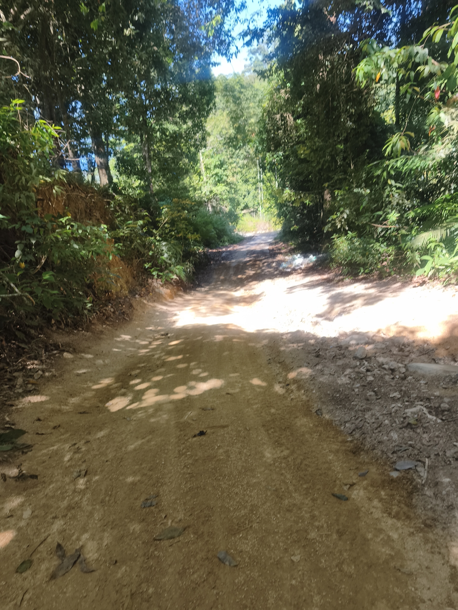A dirt road winds through a lush, green jungle in Ko Samui District, Thailand. The road is uneven and appears to be in a state of disrepair, with loose gravel and patches of mud. Dense foliage lines both sides of the road, with tall trees casting dappled shadows across the path. Sunlight filters through the leaves, creating bright spots on the ground. The sky is visible in the background, a clear blue. There are no people or animals visible in the image.