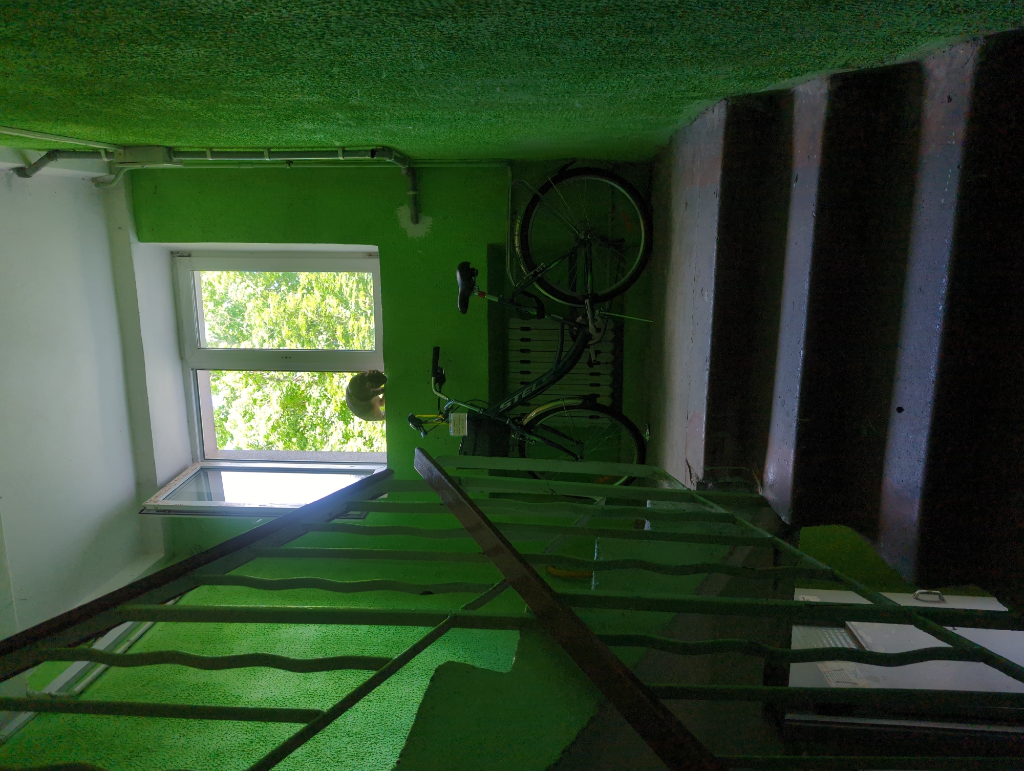 A dark, high-angle interior shot shows a dimly lit stairwell with vibrant green textured walls. A dark metal railing lines the stairs on the left. At the top of the stairs, a bicycle is parked near a wide, open window that looks out onto lush green trees. A light-colored cat with its back to the camera is perched on the windowsill. Pipes run vertically along the green wall on the right. The floor is a concrete surface, and the stairs are dark gray. The scene appears to be an indoor communal space, possibly a building's stairwell or landing.