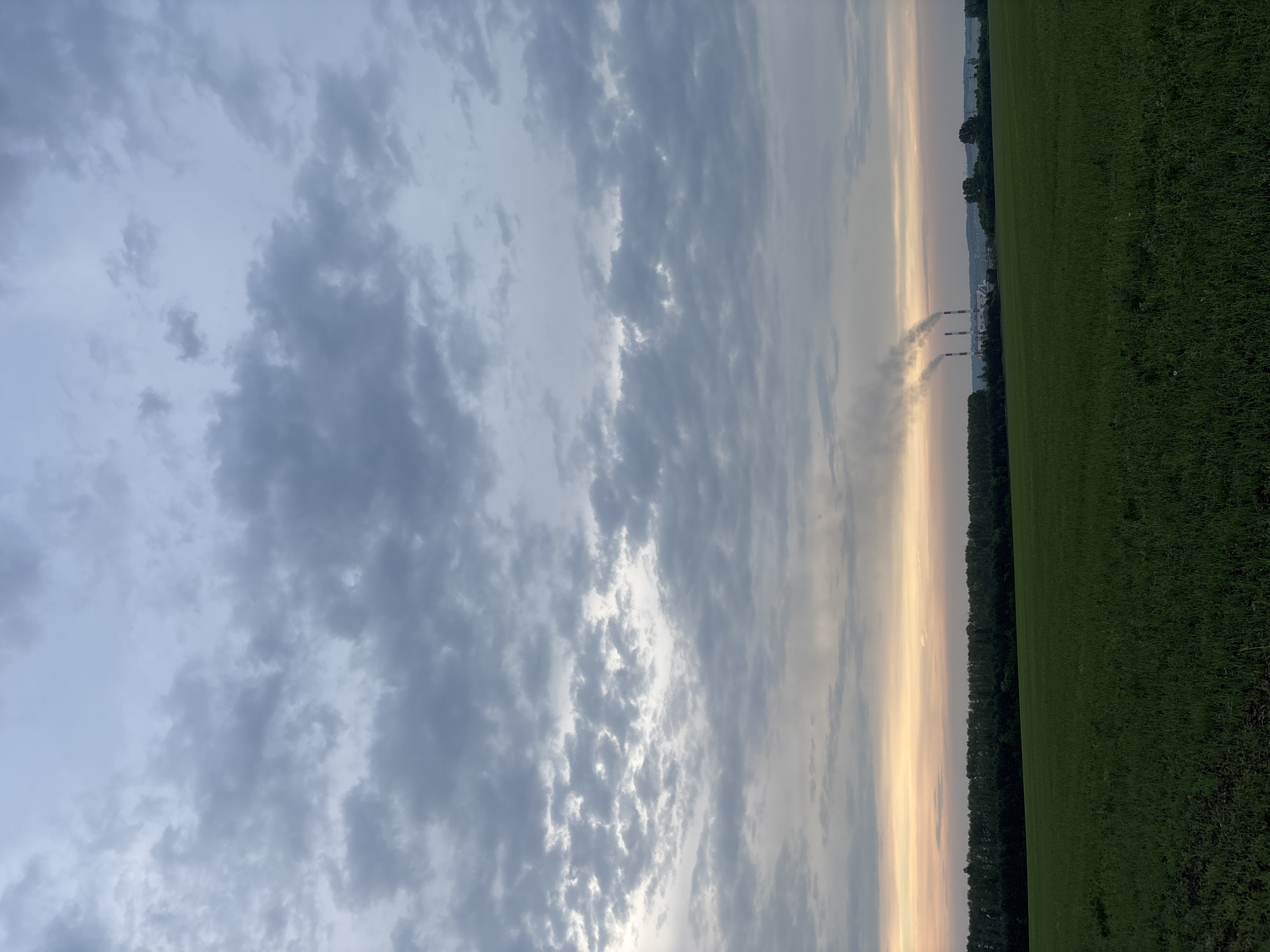 The image shows a wide, green field in the foreground under a cloudy, grey sky. In the distance, a line of trees forms a dark border along the horizon. Beyond the trees, several industrial chimneys are visible, emitting plumes of smoke. The sky transitions to softer colors near the horizon, suggesting either sunrise or sunset. The scene is set in Vishnevka, Russia. There are no people or animals visible in the image.