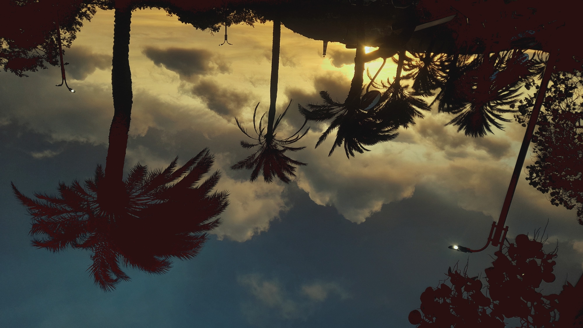 This is a silhouetted image of palm trees against a dramatic sky at sunset. The sky is filled with dark, heavy clouds tinged with yellow and orange hues from the setting sun. In the foreground, several palm trees are silhouetted, with one tall palm tree dominating the right side of the frame. To the left, a street lamp with its light on is visible, casting a glow. In the background, a small lighthouse-like structure is visible on a hill. The overall scene evokes a tropical or coastal atmosphere. The location is identified as Pedro González, Venezuela, which is known for its coastal landscapes and tropical climate.