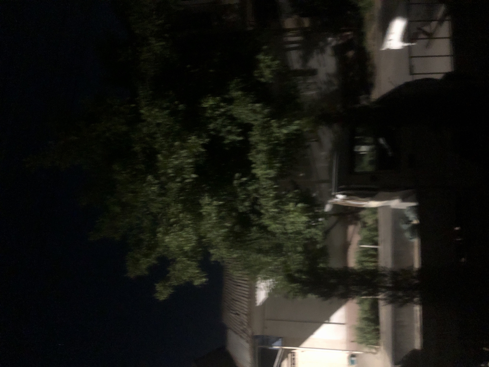 The image shows a dimly lit outdoor scene at night, likely in a residential area, with a prominent tree in the foreground. A building with a tiled roof is visible to the left, and a vehicle is partially obscured in the middle ground. There are shadows cast on the ground, suggesting artificial lighting. The environment appears to be a street or sidewalk area, with some foliage and a fence-like structure visible. The overall impression is one of a quiet, residential setting at night.