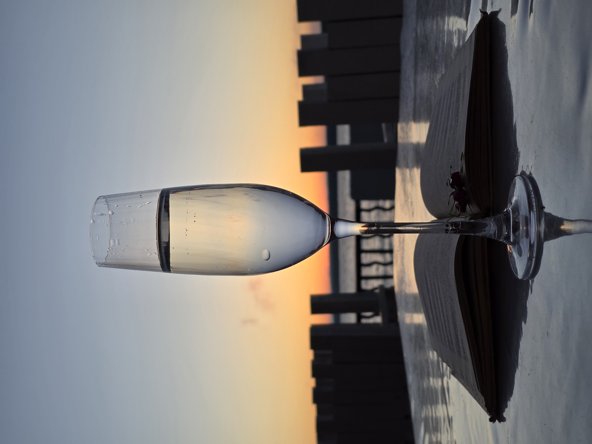 An open book lies on a reflective surface, likely a table, with a tall champagne flute filled with a clear liquid positioned centrally on top of it. The book appears to be aged, with visible pages and text. The glass has droplets of condensation on its exterior, and some small bubbles are present within the liquid. Two small dark red berries rest on the open pages of the book, near the base of the champagne flute.
The background suggests an outdoor setting at dusk. A body of water, possibly a river or lake, is visible behind the book and glass. A line of dark, vertically oriented structures, resembling fence posts or architectural elements, runs horizontally across the middle ground. The sky displays a gradient of soft colors, transitioning from a pale blue at the top to a warm orange and pink hue near the horizon, indicating sunset. The overall lighting is dim, with highlights reflecting off the surfaces.
The scene does not contain any people or discernible actions beyond the static arrangement of objects. The location is not specified within the image itself.
While the provided information states the image is from Chaikovsky, Russia, this geographical context cannot be visually confirmed from the image content alone.