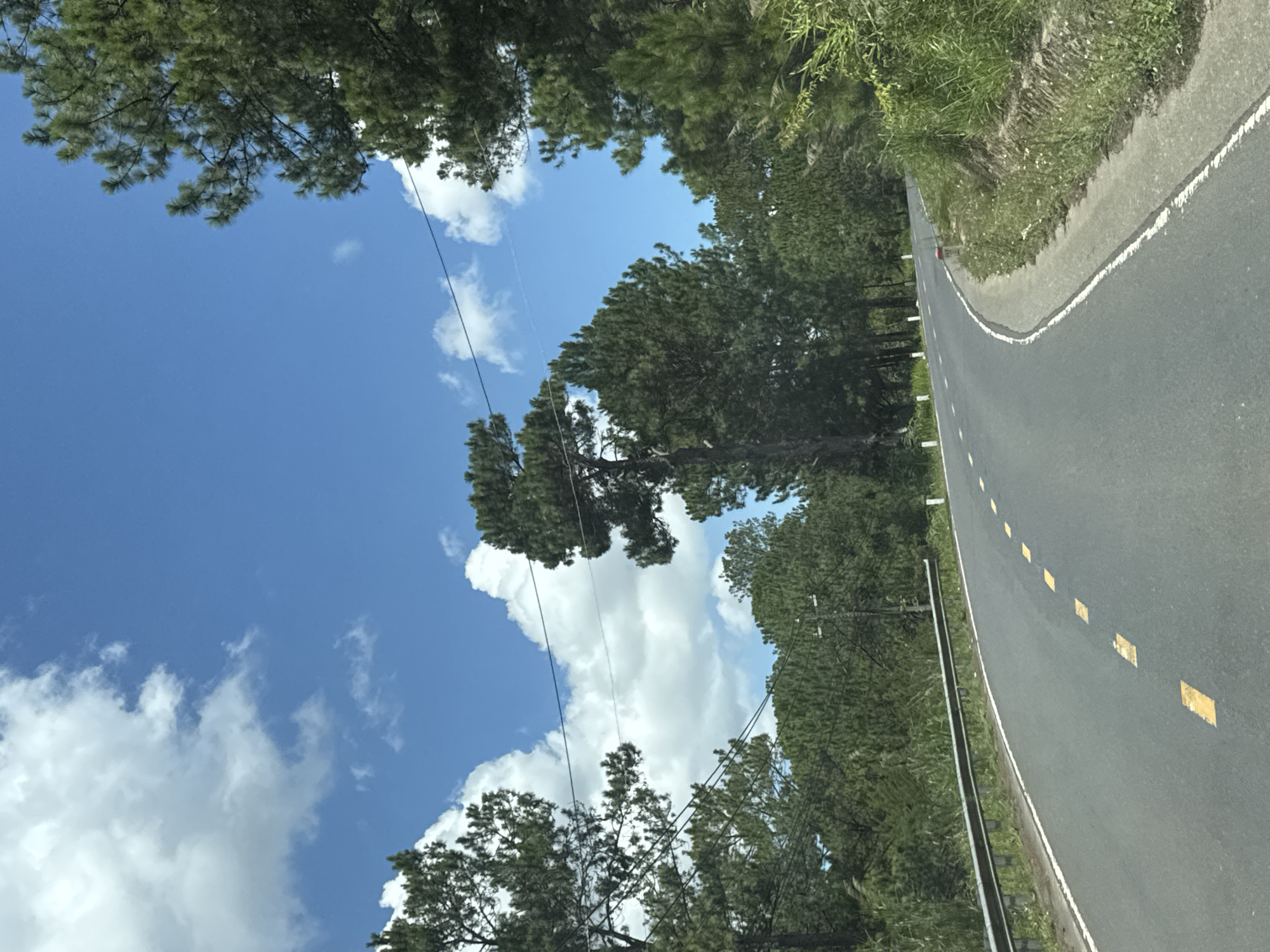 The image depicts a winding asphalt road bordered by a metal guardrail on the left and a grassy, slightly sloped embankment on the right. Yellow dashed lines are painted on the road to mark the lanes. Dense green trees, primarily pines, line both sides of the road, with a few taller, more mature trees interspersed amongst them. The sky above is a vibrant blue, dotted with fluffy white clouds. In the background, the trees continue to dominate the landscape, creating a sense of being in a natural, possibly mountainous or hilly, environment. The scene suggests a tranquil drive through a forested area. There are no people or vehicles visible in the image. The location is specified as Thôn 6, Vietnam.