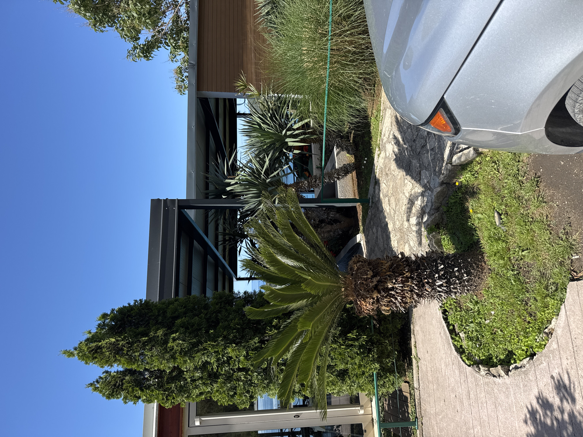 The image depicts a residential or commercial building exterior, likely located in Prijevor, Montenegro, judging by the style of architecture and the presence of Mediterranean vegetation. A portion of a silver car is visible on the right side of the frame, indicating a parked vehicle near the building. A variety of plants are present, including palm trees, yucca-like plants, and juniper-like trees. The building has a covered area with steel supports and likely glass walls, suggesting a patio or entrance area. The weather appears to be clear and sunny, as evidenced by the blue sky.