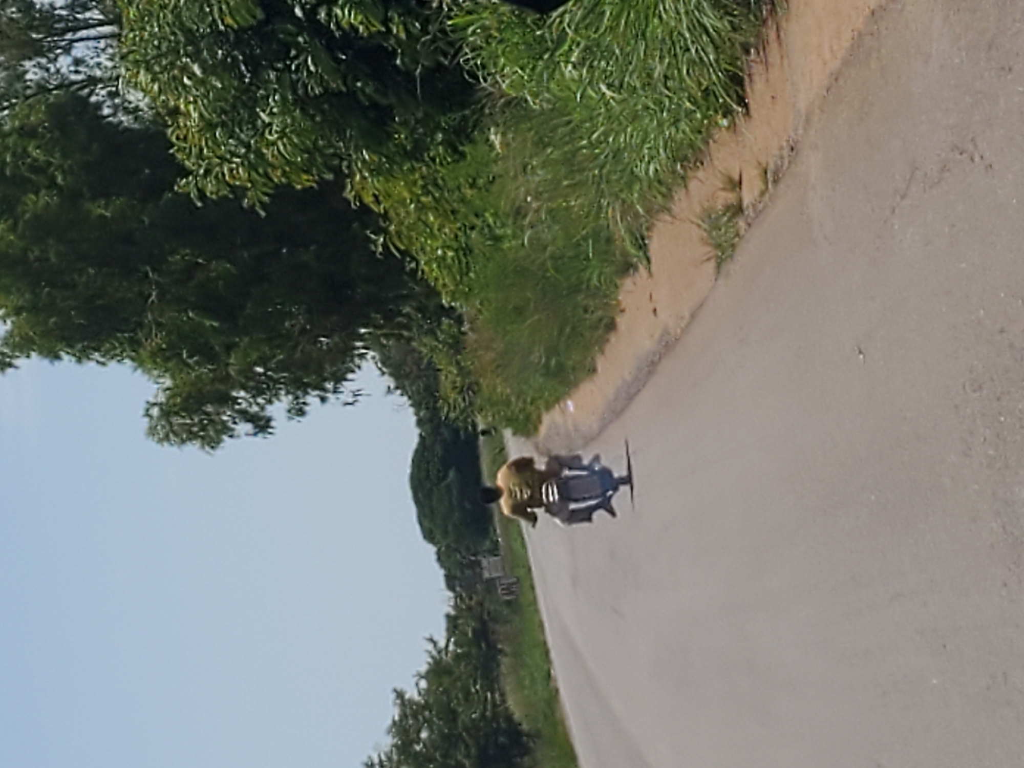 A person rides a motorcycle down a paved road in Mangu, Nigeria. The rider is wearing a yellow t-shirt and dark pants. The motorcycle is black. The road is gray and cracked, with a sandy shoulder on the right. Tall green grass lines the side of the road. In the background, there are trees and a clear blue sky. The image is taken from behind and to the right of the motorcycle.