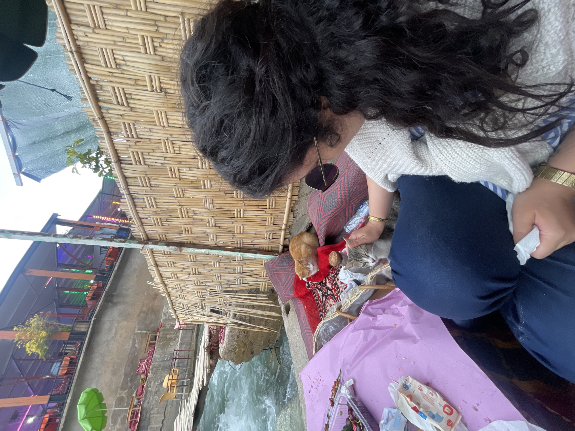 The image shows a person with dark, curly hair wearing a white sweater and dark blue jeans, sitting near a stream. They appear to be feeding two cats, one orange and one gray, who are sitting on a red patterned cushion. A pink plastic tablecloth with scattered food containers and trash is nearby. The setting is outdoors with a bamboo-walled structure in the background. The water in the stream is clear and flowing. Across the stream are tables and seating associated with a restaurant. The location can be inferred to be Asgaour, Morocco based on information provided.