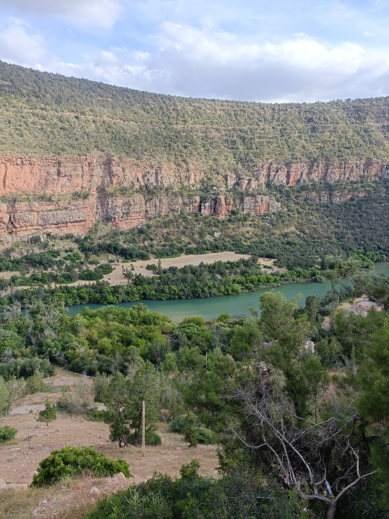 The image shows a landscape near Bin El Ouidane, Morocco, featuring a river flowing through a valley. A high, reddish-brown cliff face is prominent on one side, topped with a layer of green vegetation covering the higher ground. The river is a turquoise color, winding through dense green foliage. The foreground consists of more trees and undergrowth, suggesting an elevated viewing point. The sky is partly cloudy with a mix of blue and gray patches.