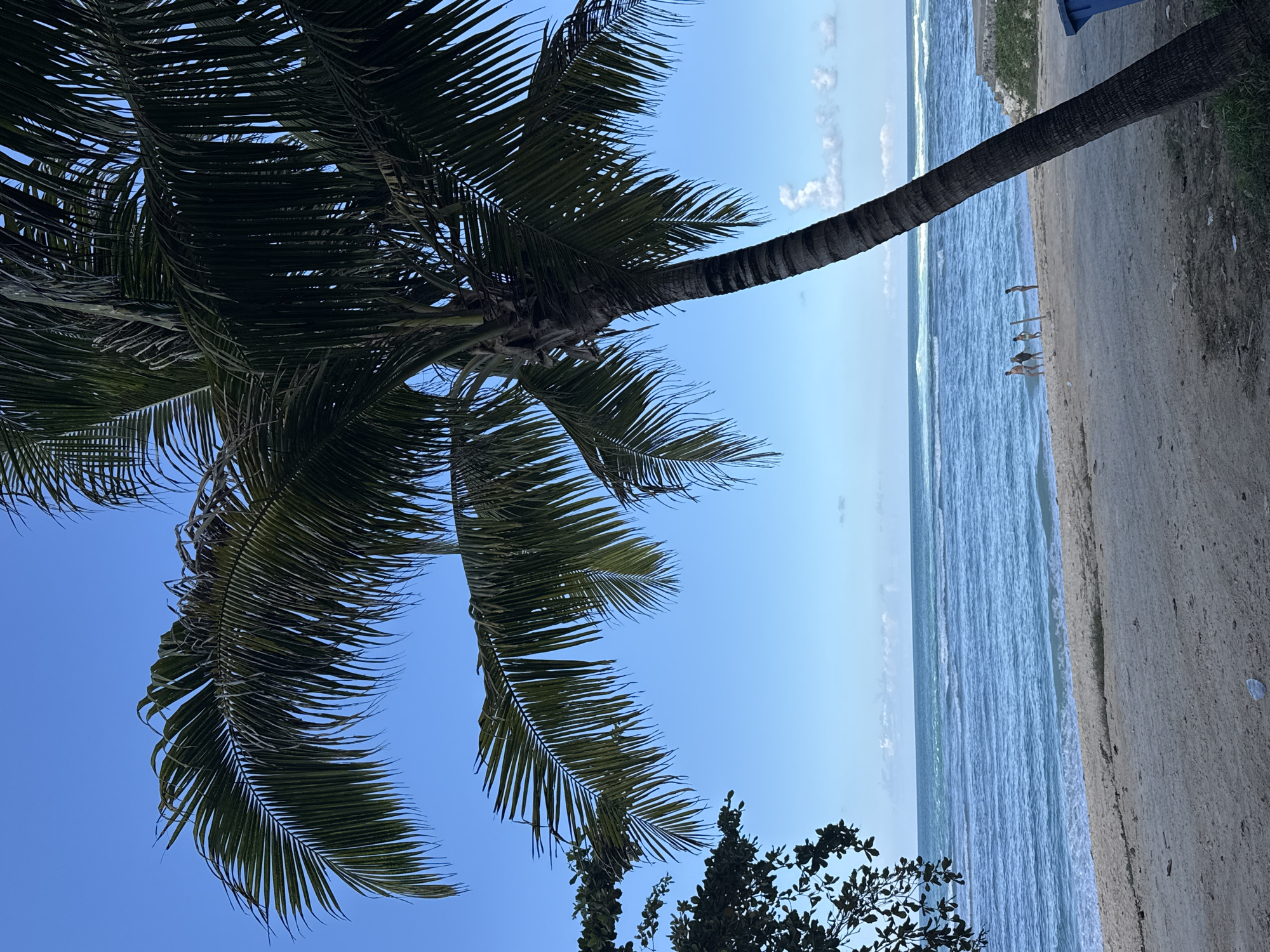 The image depicts a tropical beach scene, likely in Kuta Selatan, Indonesia, characterized by a clear blue sky, a calm ocean with gentle waves, and a sandy shore. Dominating the foreground and right side of the frame is a tall palm tree with dark green fronds. To the left, a portion of another tree with lush green foliage is visible.
On the sandy beach, in the middle ground, a small group of four individuals, two adults and two children, are walking towards the ocean. The adults appear to be a man and a woman, and the children are likely their offspring. Their postures suggest they are casually strolling.
The environment is that of a beach, with the sand appearing somewhat coarse and dotted with debris, including a white piece of plastic in the lower left and a blue trash bin on the far right. The ocean stretches to the horizon, with several layers of white-capped waves indicating moderate surf. A low stone wall or structure is visible on the right side of the beach, beyond the people and the palm tree. The overall atmosphere is serene and suggests a typical day at a tourist-frequented beach.