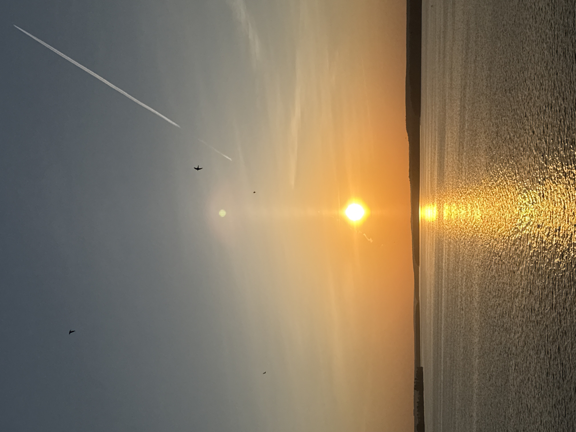 The image depicts a sunset over a body of water, likely a lake or a wide river, with sunlight reflecting off the water's surface. A strip of land is visible on the right edge of the frame. The sky is transitioning from a light blue to orange as the sun sets. There is a contrail from a high-altitude jet airplane visible in the upper left portion of the sky. There are also several birds visible in silhouette against the sky. The location is possibly Votkinsk, Russia, based on the request.