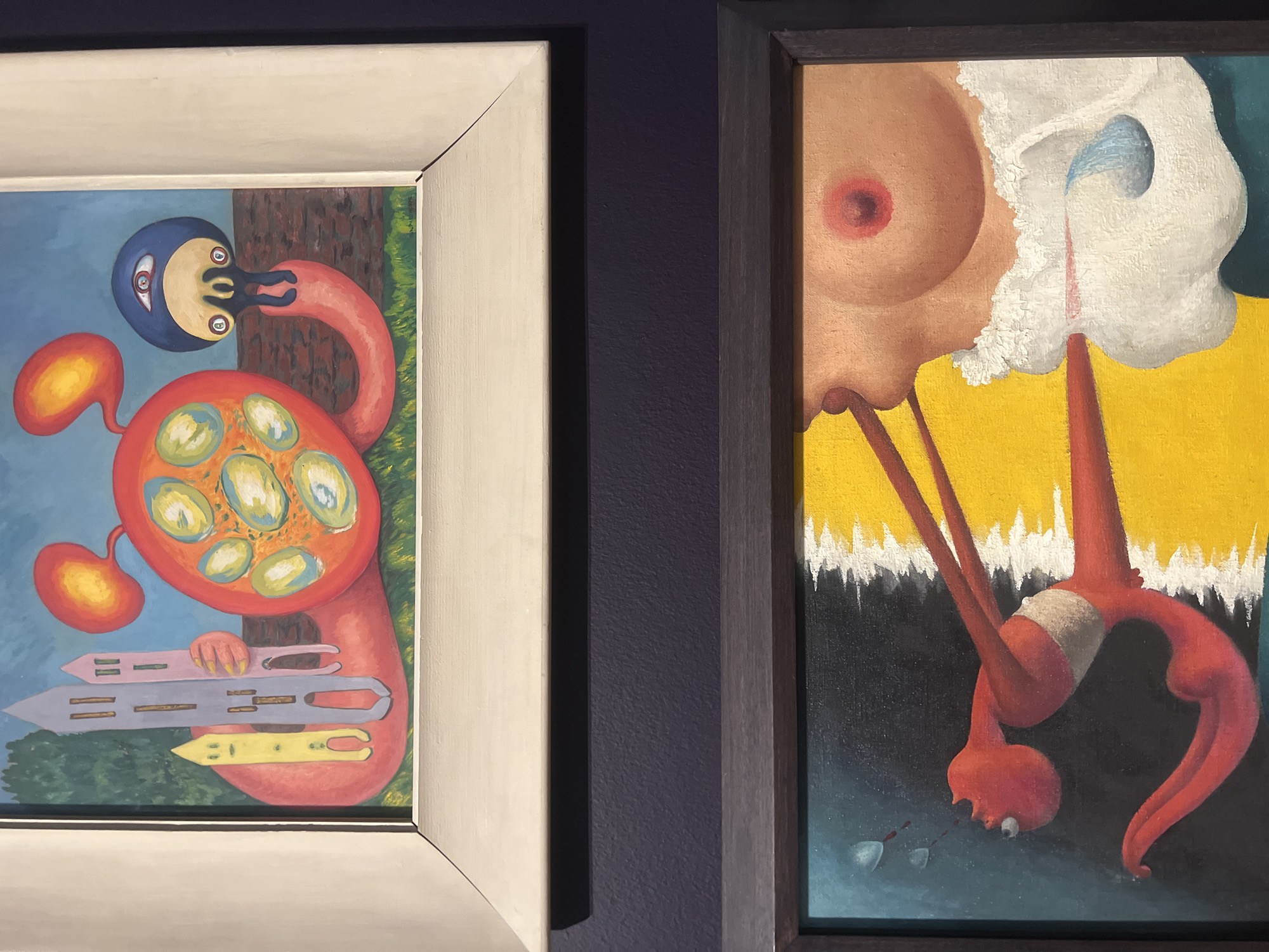 Two surreal paintings are displayed side-by-side on a dark purple wall in what appears to be an art gallery.
The painting on the left, set in a light white frame, depicts a bizarre, anthropomorphic creature. Its main body is a large, red, organ-like shape with several light green, oval-shaped forms resembling eggs or cells within it. A smaller, orange, kidney-bean-shaped object is attached to its side. A long, pink, swan-like neck emerges from the red body, arching upwards to a dark blue, round head with a yellow face, black features, and wide-open eyes, appearing to look downwards. The creature's head is inverted relative to its body. It holds three arrow-like or spear-like tools (pink, purple, and yellow) with various cutouts and markings. The background features a light blue sky, a brown tree trunk on the right, and green foliage at the bottom.
The painting on the right, housed in a dark brown frame, presents another surreal composition. The upper portion shows a pair of human breasts with prominent red nipples, appearing to be part of a larger, flesh-toned torso. Below this, an inverted, elongated, red humanoid figure hangs upside down. This figure has a small, round head with a visible eye and open mouth, from which small white, feather-like objects or tears seem to fall into a dark blue area below. A white band wraps around the figure's midsection. The background is divided into a bright yellow section at the top, a jagged white and black section in the middle, and a dark blue bottom.
Both paintings are vibrant in color and feature fantastical, unsettling imagery, typical of surrealist art. No visible text is present within the artworks.