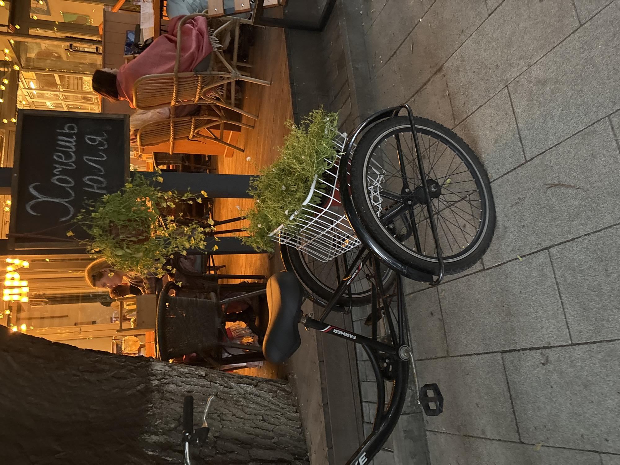 A three-wheeled bicycle with a basket of green plants is parked on a sidewalk in front of a restaurant with outdoor seating in Novaya Usman', Russia. The bicycle is black, and the basket is white and wire-framed. The bicycle has a black seat and pedals. A tree trunk is visible on the left side of the image. In the background, people are seated at tables under string lights. A sign on the wall behind them has white Cyrillic writing. The sidewalk is paved with large, light-colored rectangular stones.