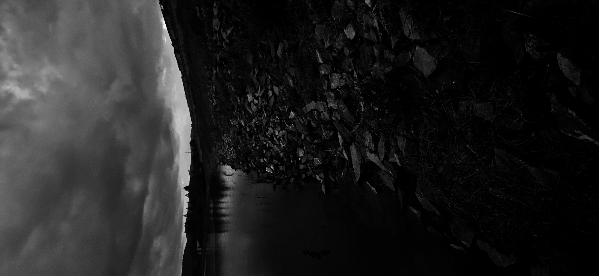 This black and white landscape photograph, taken in Verinsko, Bulgaria, depicts a tranquil body of water beneath an expansive, overcast sky. The image is composed with a clear horizon line separating the sky from the land and water below.
The upper portion of the frame is dominated by a dramatic sky, filled with thick, textured clouds ranging in tone from bright whites to deep grays, suggesting heavy cloud cover and diffused light.
Below the horizon, a calm body of water, likely a lake or wide river, reflects the muted light from the sky and the dark silhouettes of distant land or trees along its far bank. The surface of the water shows subtle ripples and reflections.
In the foreground and extending into the mid-ground on the right, a textured shoreline or bank is visible. This bank is covered with numerous rocks of varying sizes and sparse, dark vegetation, such as grass or small shrubs, all rendered in dark tones, indicating deep shadows or an underexposed area. The rough texture of the rocky bank contrasts with the smooth surface of the water.
The scene conveys a somber or peaceful mood, characteristic of an overcast day. No human activity, man-made objects, or discernible text are present. The time of day appears to be daylight, but the heavy cloud cover and monochromatic treatment lend a timeless quality to the natural setting.