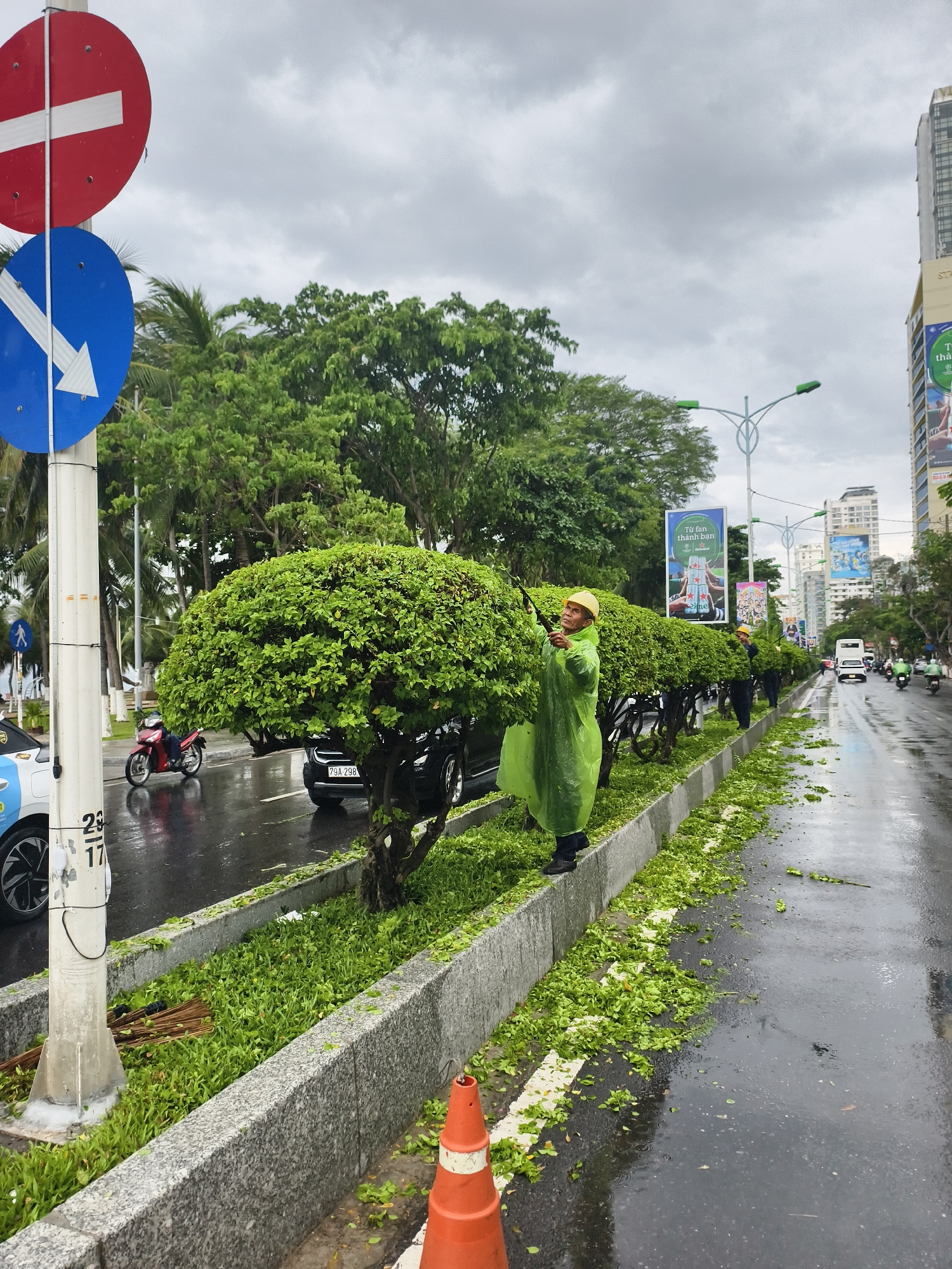 This image captures an urban street scene on an overcast day, depicting city workers engaged in landscaping duties. The road is visibly wet with puddles, indicating recent or ongoing rainfall, with freshly cut leaves scattered across the median and asphalt.
In the foreground, a worker wearing a bright green raincoat and a yellow hard hat is meticulously pruning a large, rounded hedge using manual shears. His focus is on shaping the dense green foliage. An orange traffic cone is placed near the curb on the right. On the left, a street pole prominently displays a red 'no entry' sign and a blue 'keep right' arrow sign, with numbers "23" and "17" visible lower down the pole. A broom-like tool lies at the base of the pole.
Further down the central median, several other workers in similar rain gear are also seen trimming hedges, creating a uniform, manicured line of greenery. Vehicles, including a red motorcycle and a black SUV with the license plate "79A 298.39", are present on the wet road, suggesting normal traffic flow despite the conditions.
The background reveals a bustling city environment with tall urban buildings rising under the cloudy sky, interspersed with green trees and palm trees. Advertisements are visible on billboards, one prominently displaying Vietnamese text "Tự tin thành bạn" alongside a green logo, likely for Heineken. The scene depicts routine urban maintenance activity during damp weather in what appears to be a Vietnamese city.
