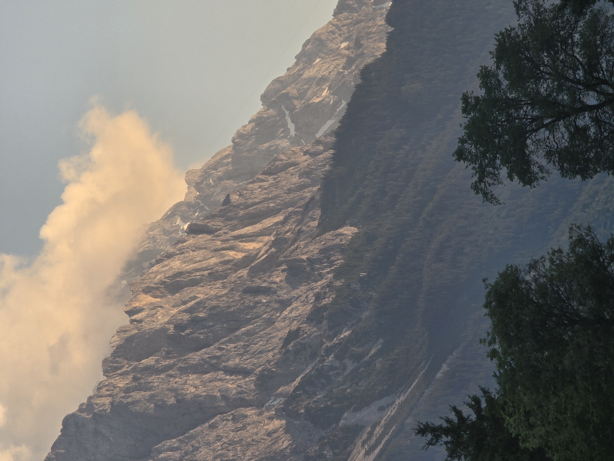 The image depicts a mountainous landscape, likely in the Alps, with a rugged, rocky mountain face illuminated by warm sunlight. A cluster of clouds, tinged with golden light, hovers near the mountain's summit. Below the rocky peaks, a dense forest of dark green trees covers the mountainside. In the foreground, the tops of several dark green trees are visible, obscuring the lower part of the scene. The sky is a pale blue, with a slight haze. Given the prominent peaks and forested slopes, this scene is characteristic of the natural environment surrounding Garmisch-Partenkirchen, Germany, a town known for its alpine scenery and winter sports. There are no people or animals visible in the image.