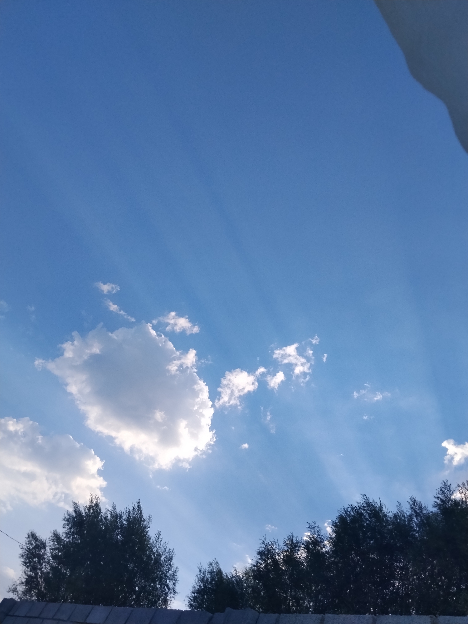 The image shows a bright blue sky with scattered clouds and crepuscular rays. The sun's rays are visible, fanning out from behind the clouds. In the foreground, the dark silhouettes of evergreen trees are visible against the sky, with a tiled rooftop below them. The scene appears to be set in an outdoor environment, possibly on the outskirts of a city like Тынчтык, Kyrgyzstan, given the natural elements and hint of a rooftop. There are no people or animals depicted in the image.