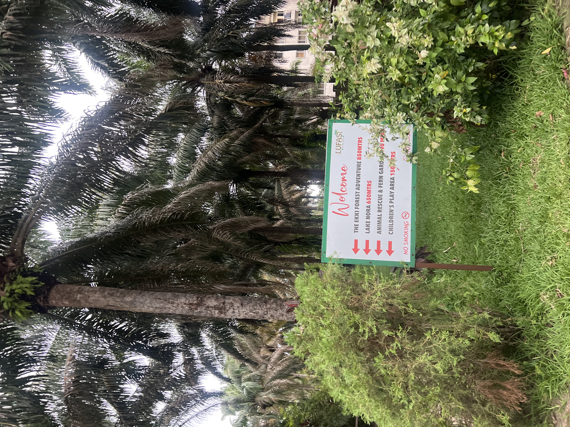 The image depicts a lush, green environment, likely in the city of Lekki, Nigeria, as suggested by the "LUFAST" signage. A sign reads "Welcome to LUFAST" with directions for "The Ekki Forest Adventure 850 MTRS," "Lake Nora 650 MTRS," "Animal Rescue & Fern Garden" and "Children's Play Area 150 MTRS," also stating "No Smoking." Palm trees surround the sign, with dense foliage and grass in the background. The scene suggests a park or recreational area.