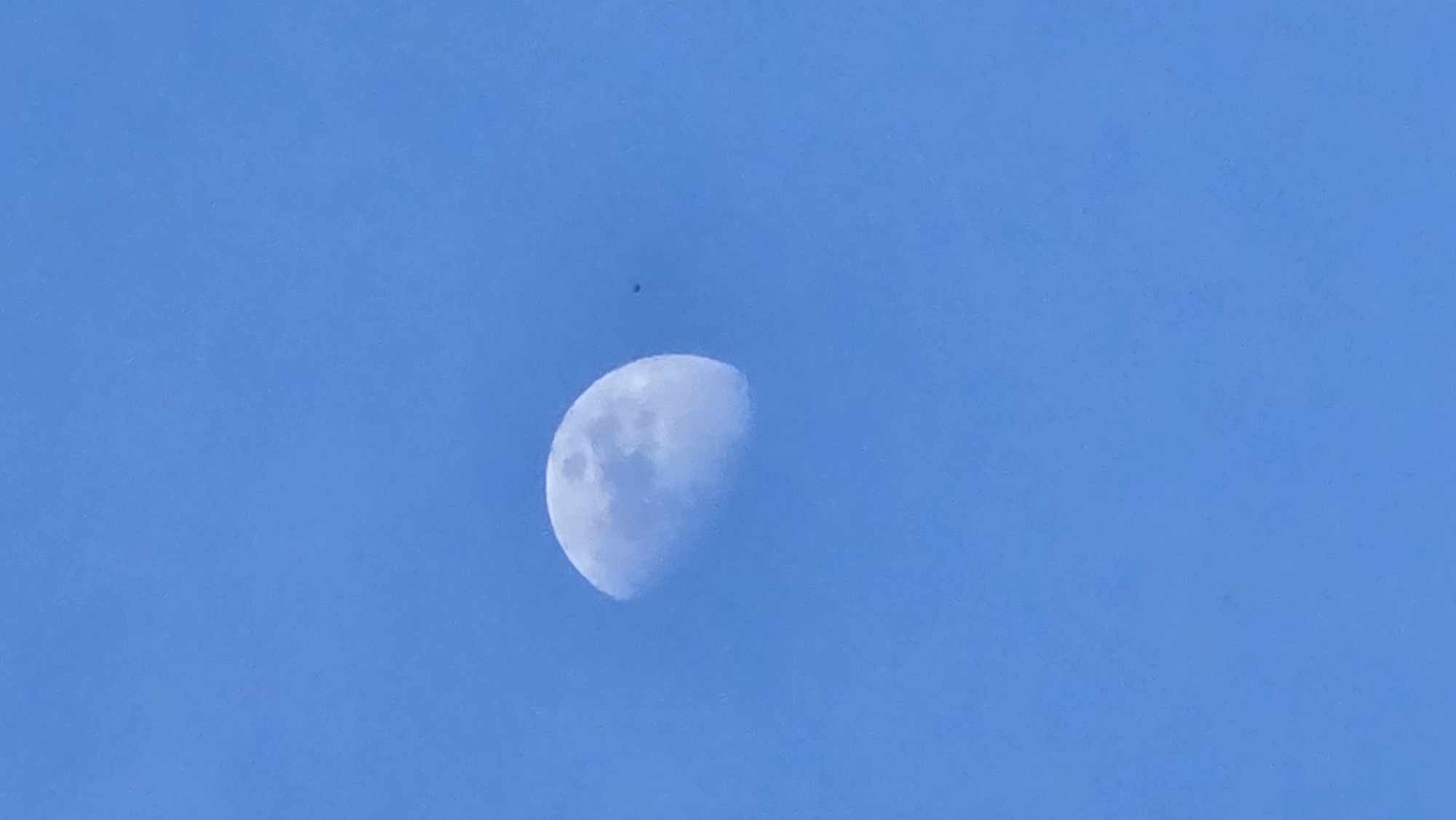 The image shows a half-moon in a clear blue sky. There is a small, dark object above and to the left of the moon. The image does not contain any information to identify it as being taken in the city of Sofia, Bulgaria.