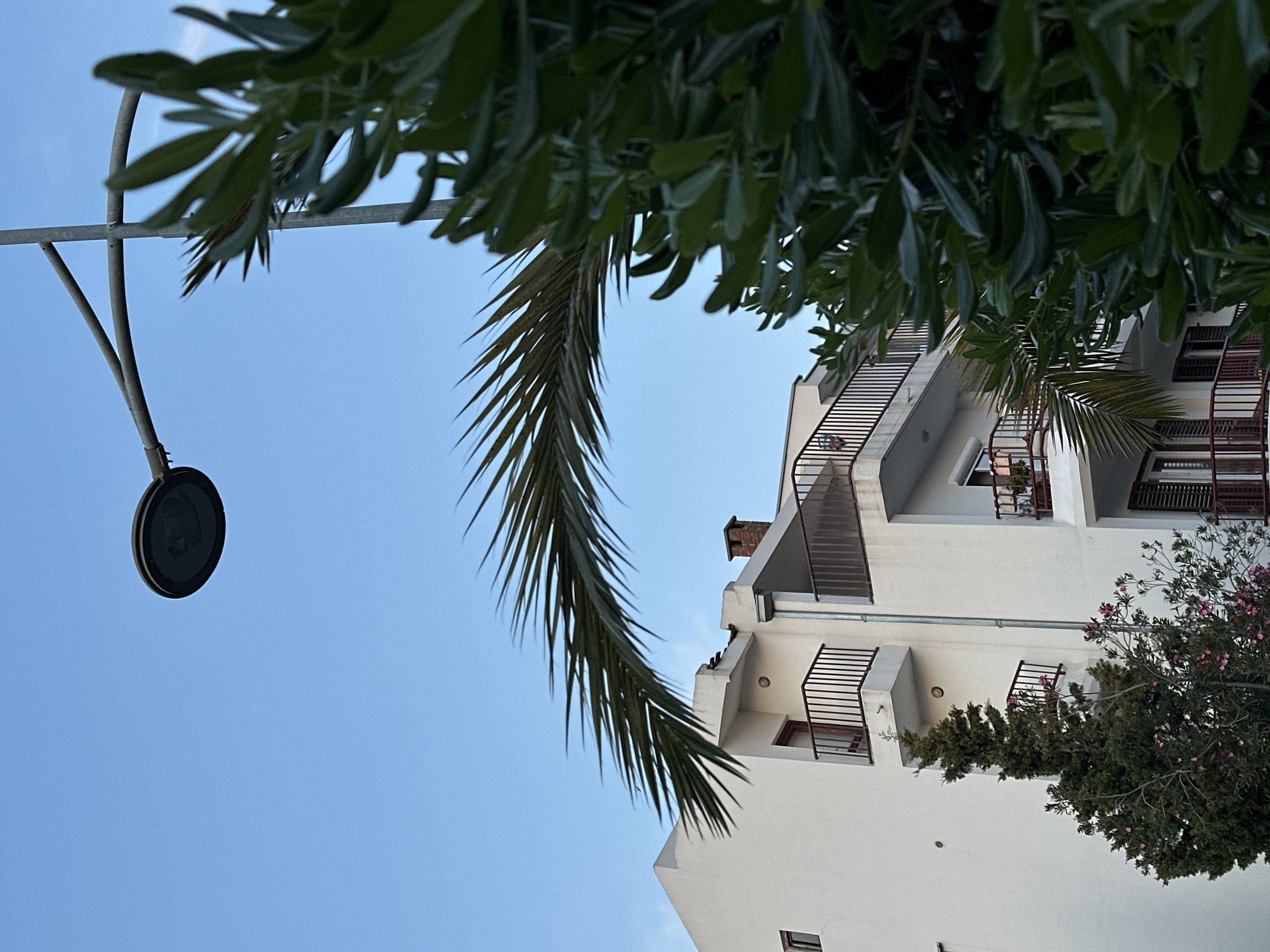The image shows a view looking up at a building in Šušanj, Montenegro, with foliage partially obscuring the view. The building is white with dark window frames and iron railings on balconies. A palm frond extends into the frame from the left. A street light with a circular head is also visible on the left side. The sky is clear and blue. Additional greenery is present on the right side of the building.
