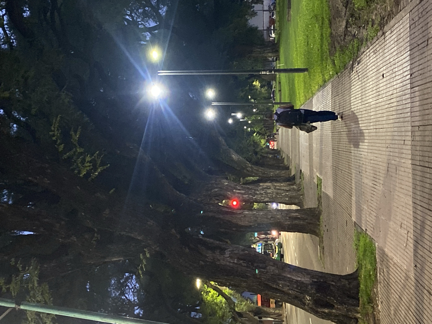 This image depicts a nighttime scene in Buenos Aires, Argentina, along a tree-lined thoroughfare or parkway. A single individual is seen walking away from the viewer on a patterned paved sidewalk that occupies the right side of the frame. The person is dressed in dark clothing and carries a backpack, casting a long shadow to their left under the bright artificial illumination.
To the left of the sidewalk, a narrow strip of grass separates it from a long row of large, mature trees with thick, gnarled trunks and dark foliage. These trees line what appears to be a road or path further to the left, which is partially visible in the distance. The scene is lit by multiple bright streetlights positioned along the path, casting intense glare and starburst effects, especially from those closer to the foreground. The strong lights create a stark contrast with the dark surroundings.
Further down the street, amidst the trees, a distinctive red light is visible, possibly from a traffic signal or a vehicle's brake light. The sky is dark, indicating that it is late evening or night. The overall atmosphere is quiet, characteristic of an urban park or promenade after dark. No discernible text is visible in the image.
