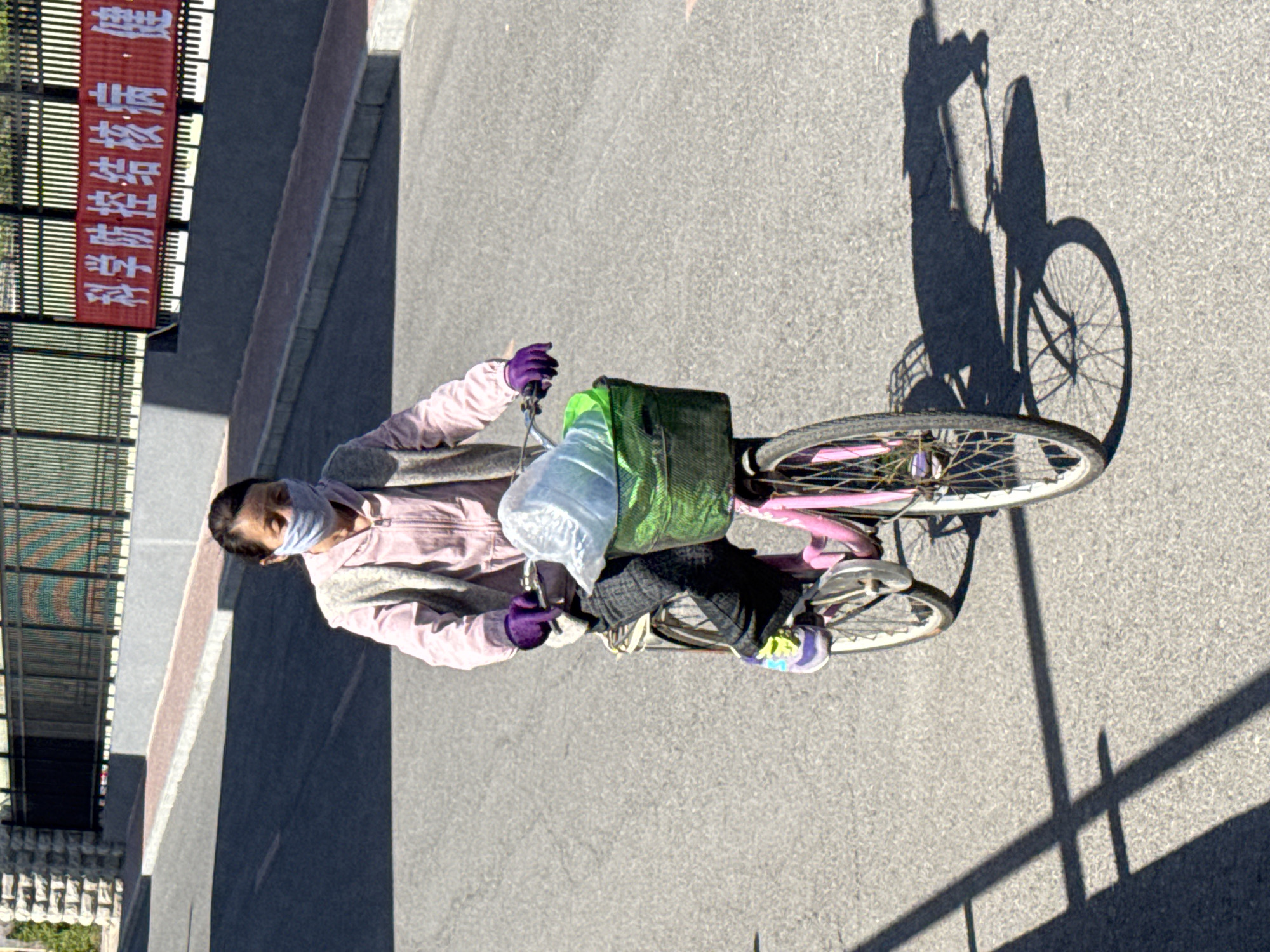 A woman wearing a light pink jacket, purple gloves, and a white face mask rides a pink bicycle on an asphalt road. She is carrying a green and black bag along with a white plastic bag on the front of the bike. The shadow of the woman and her bicycle is visible on the right side of the image. A sign with vertical Chinese characters is visible on the left. The location is Zhongtun, China.