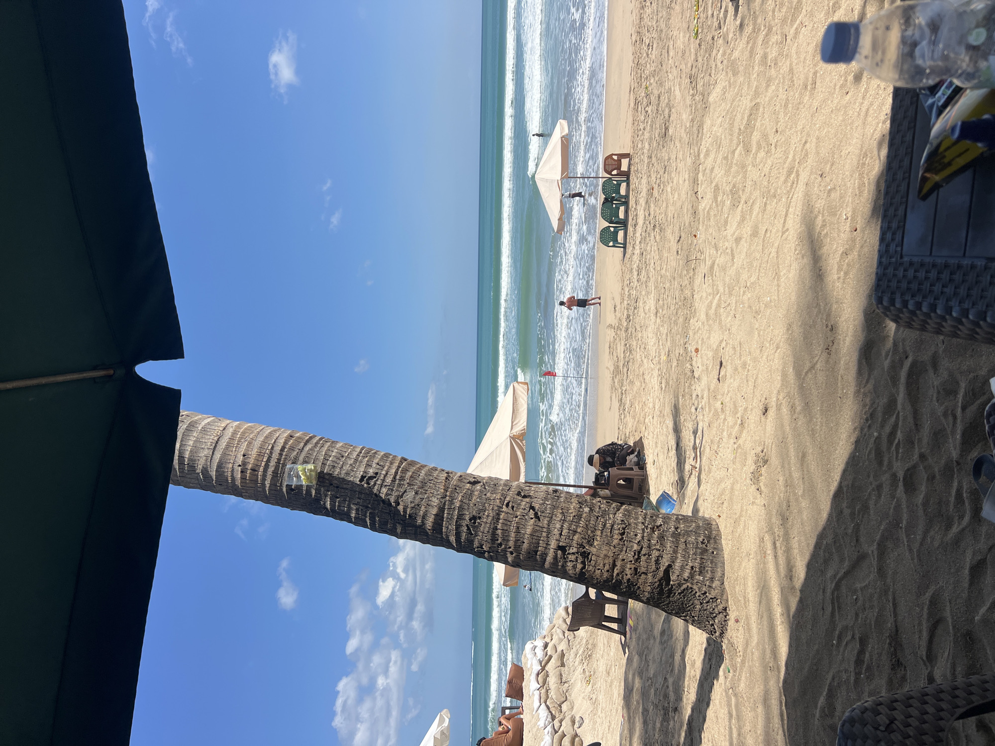 The image depicts a beach scene in Kuta, Indonesia, under a bright, sunny sky with scattered clouds. In the foreground, a large palm tree trunk dominates the left side, with a plastic cup attached to it containing some yellow items, possibly lemon slices. The ground is covered in sand. To the right of the palm tree, beach chairs and umbrellas are set up. A beige umbrella shades a couple of chairs, and further out, another umbrella is visible with several chairs in front of it.
In the background, the ocean stretches out with gentle waves breaking on the shore. Several people are present on the beach and in the water. One person in dark clothing is crouched near the base of the palm tree, while another individual in black shorts stands closer to the water. A person in a dark swimsuit is in the shallow water, and another figure is visible in the distance in the ocean. On the left side of the image, a person is reclining on a beanbag chair on a raised sand berm. The overall environment is a typical beach resort setting, with ample space for relaxation and recreation.