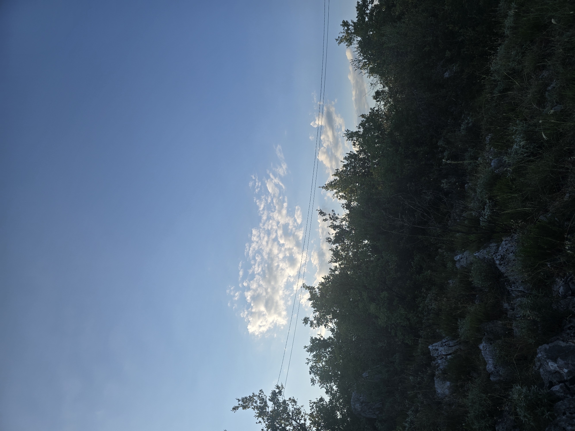 The image depicts a natural landscape under a bright, partly cloudy sky. The foreground is dominated by dense, dark green foliage and rocky terrain, suggesting a rugged, undeveloped area. A line of trees forms a dark silhouette across the middle ground, with some power lines extending horizontally above them. In the background, the sky is a clear blue with scattered white clouds, some of which are illuminated by sunlight. The overall impression is one of a serene, possibly remote, outdoor setting.