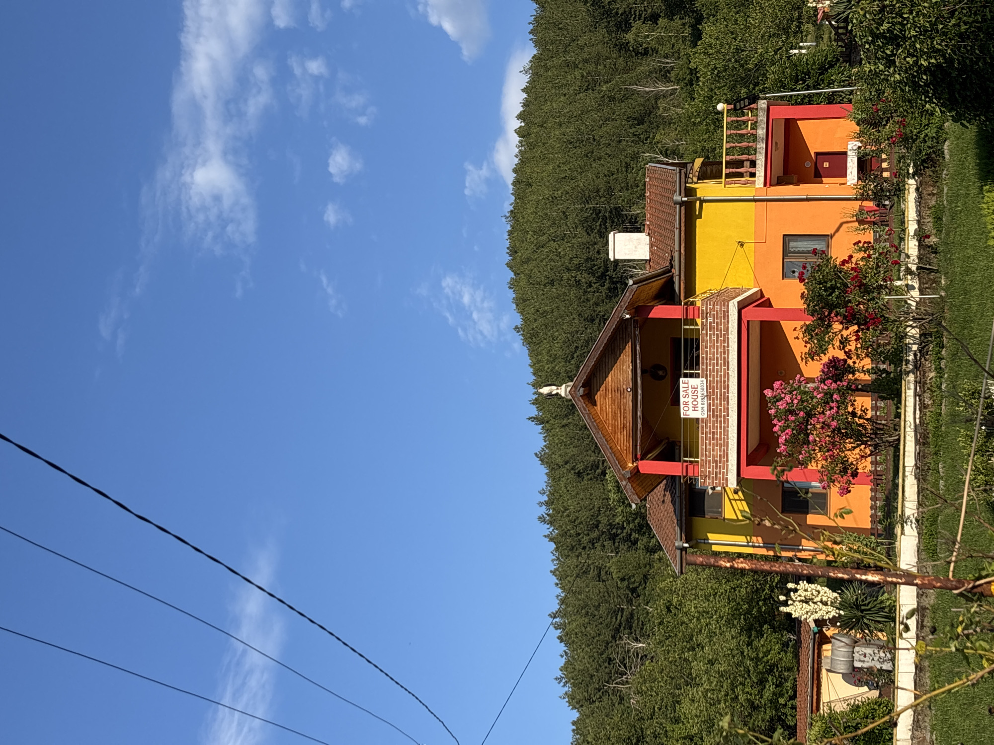 In the city of Star chitak, Bulgaria, a two-story house painted in vibrant shades of yellow and orange stands against a backdrop of a dense, green forest. The house features red trim and multiple balconies, one of which displays a "FOR SALE HOUSE" sign with a phone number. Pink and red roses bloom in the foreground, adding a touch of color to the scene. The sky above is a clear blue with a few wispy clouds. Overhead power lines are visible, crossing the upper portion of the frame. The scene appears to be a sunny day.