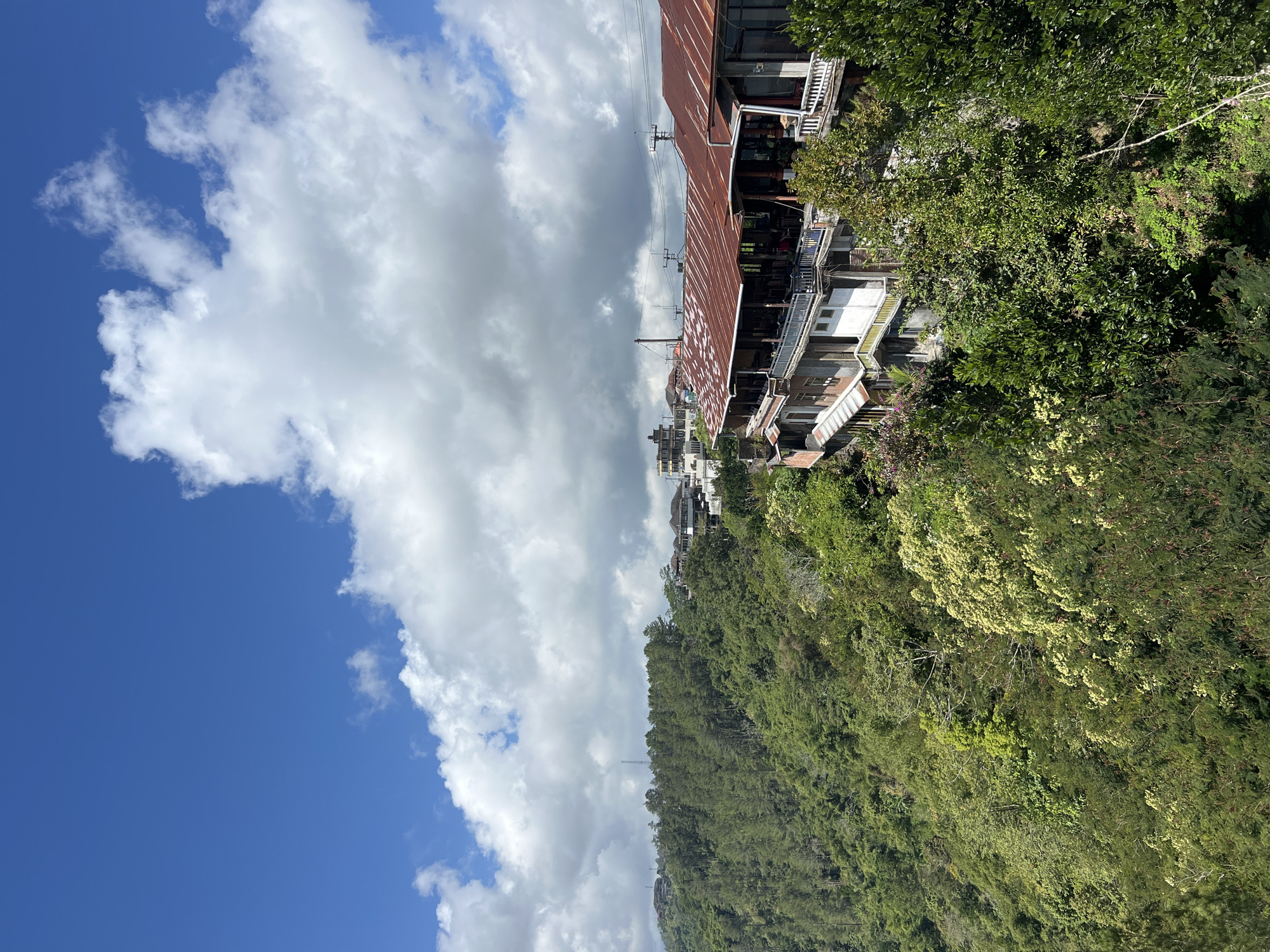 The image captures a view of a building perched on a lush, green hillside in Kintamani, Indonesia. The building, with its multi-level structure and weathered, reddish-brown corrugated metal roof, is situated on the right side of the frame, overlooking a dense canopy of trees that carpets the landscape. Several other structures are visible further up the hill, hinting at a community nestled within the natural terrain.
The sky above is a vibrant blue, dotted with dramatic, puffy white clouds that cast soft shadows on the terrain below. The vegetation is a rich tapestry of various shades of green, with some trees exhibiting lighter, yellowish foliage, possibly indicating flowering or seasonal changes. The overall scene suggests a tranquil setting, likely a viewpoint or a restaurant, offering panoramic views of the mountainous landscape. The image is a still shot, with no apparent human activity or actions taking place. The focus is on the architecture integrated with the natural environment.