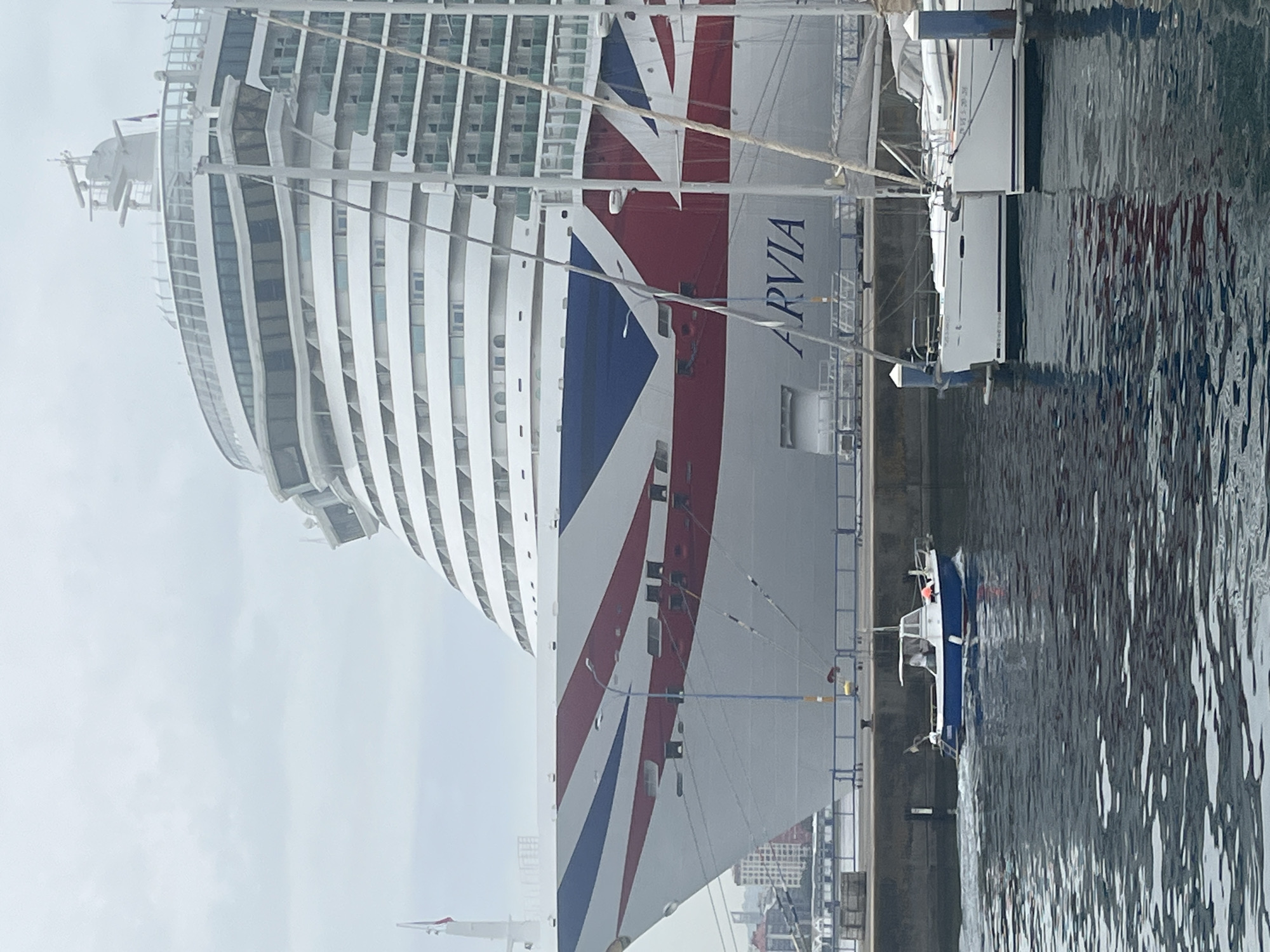 This image shows a large cruise ship docked in a harbor. The ship, named "ARVIA," is predominantly white with red and blue stripes forming a Union Jack flag on its side. It has multiple decks with rows of windows. Moored alongside the cruise ship are several smaller white boats. The water in the harbor is dark and reflects the ships and the sky, which appears overcast, suggesting a cloudy day. In the background, buildings and other harbor structures are visible. The scene is static, depicting the ships at rest in the port. The word "ARVIA" is clearly visible on the side of the cruise ship. The overall impression is one of a large vessel in a commercial port on a somewhat muted day.