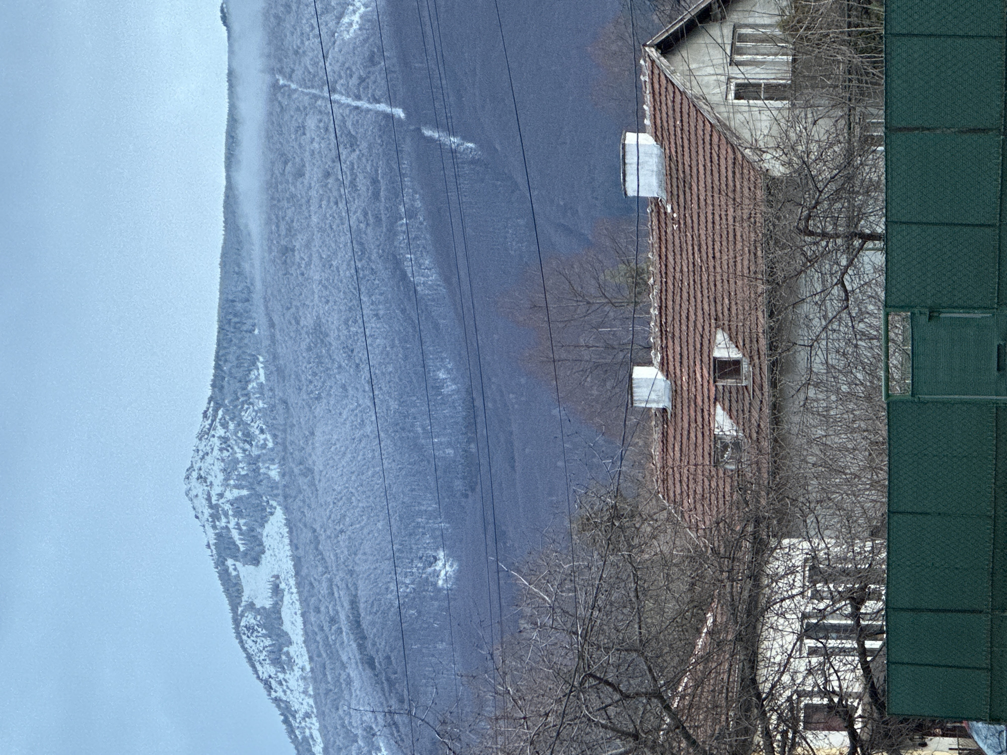This outdoor shot presents a layered view of an urban landscape set against a mountainous backdrop. The photo is oriented vertically, with the mountain on the left side, a building in the center, and a green fence-like structure on the right. The mountain appears to be covered in dense trees, transitioning from bare branches near the bottom to snow-covered areas towards its peak. Power lines are visible, extending diagonally across the frame from the mountain towards the right.
A residential building is centered in the frame. It is characterized by a reddish-brown tiled roof and white walls. There are visible windows and possible chimney structures on the roof.
A green structure is on the right side. It appears to be a fence composed of a grid-like pattern. There are bare branches that overlap the building and fence.
Given the mountain landscape, the architecture, and the presence of power lines and the location, this appears to be a scene from a mountainous part of Sofia, Bulgaria, where urban areas meet natural landscapes. No people are visible in the scene.