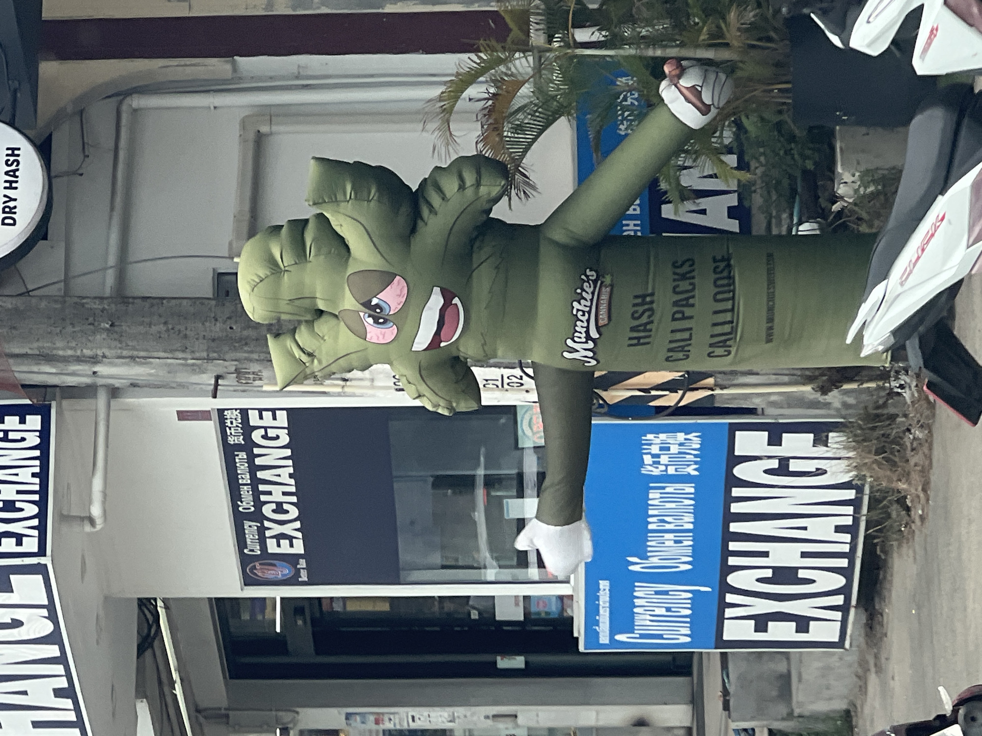 The image captures a street scene in Ban Bang Rak, Thailand, featuring a currency exchange storefront. Dominating the foreground is a tall, inflatable green character, resembling a stylized cannabis leaf with arms and a smiling face. The character is positioned in front of the currency exchange, which has prominent signage in English, Russian, and Chinese indicating "Currency EXCHANGE". One of the character's arms is extended, with a white-gloved hand gesturing outwards. Behind the inflatable figure and the currency exchange, tropical plants are visible, suggesting a warm climate. Motorcycles are parked in the lower portion of the image, indicating a common mode of transportation in the area. The overall impression is one of a commercial street in a tourist-friendly location.