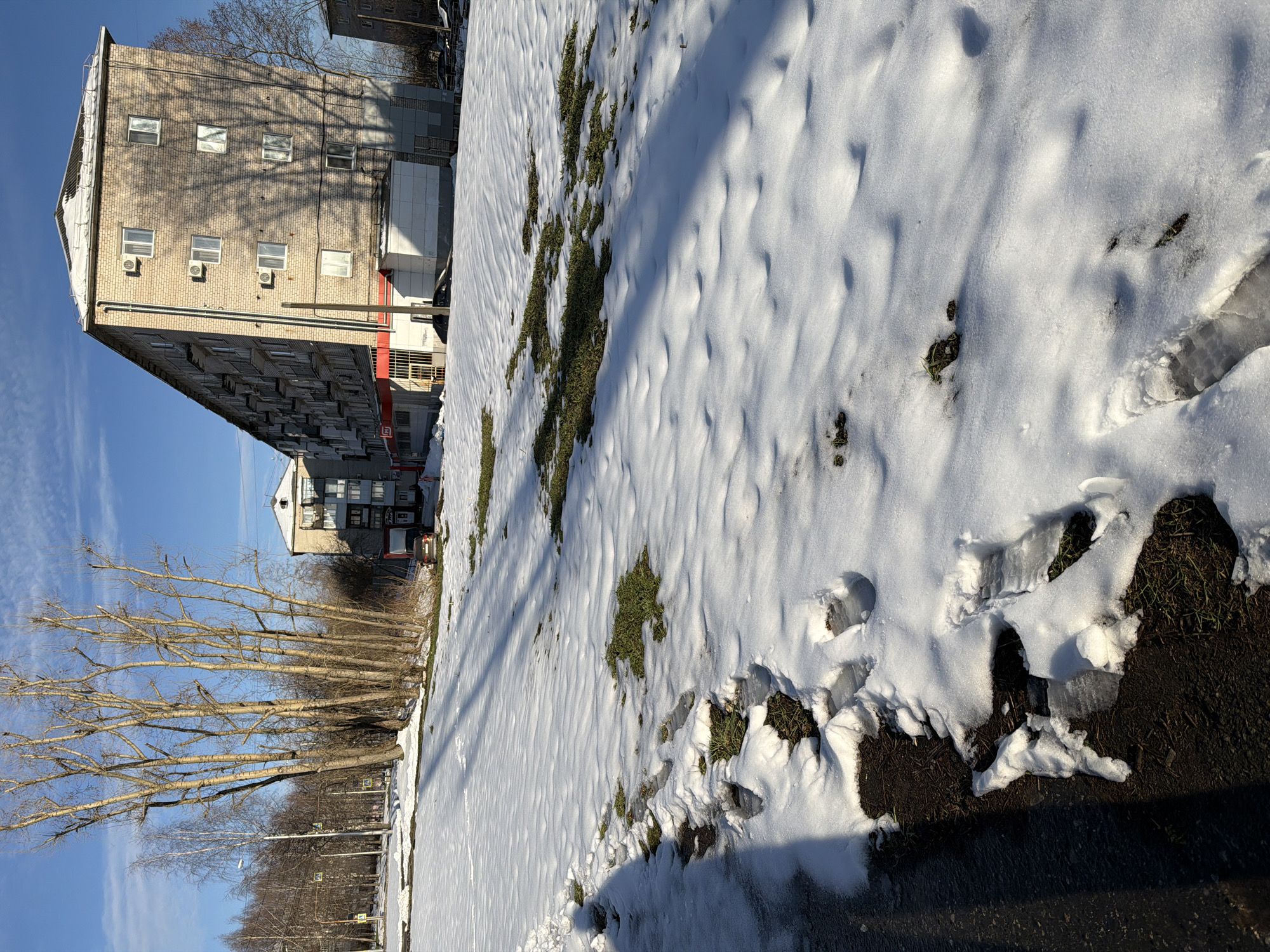 This outdoor scene, captured in Berezniki, Russia, depicts a clear, sunny winter or early spring day. The image is dominated by snow-covered ground in the foreground and midground, with large patches of green grass and dark earth visible where the snow has melted or is sparse. The snow itself is uneven and lumpy, bearing several distinct footprints.
To the left, a row of tall, bare deciduous trees with numerous branches stands against a bright, clear blue sky, which occupies the upper portion of the frame. These trees cast long shadows across the snow and onto a multi-story brick building situated further to the left in the midground. This building, likely residential, features multiple windows and several external air conditioning units on its facade. The building's brickwork is visible, and it appears to be bathed in direct sunlight. A red architectural element or sign is partially visible on the lower section of this building. Further in the background, another building with a pointed roof is partially obscured by the trees.
The strong sunlight creates distinct shadows, indicating either mid-morning or late afternoon. The presence of snow alongside visible grass and bare trees suggests a transition season. There is no overt human activity, but the footprints in the snow imply recent passage. No specific text is clearly legible on any visible signs or buildings.