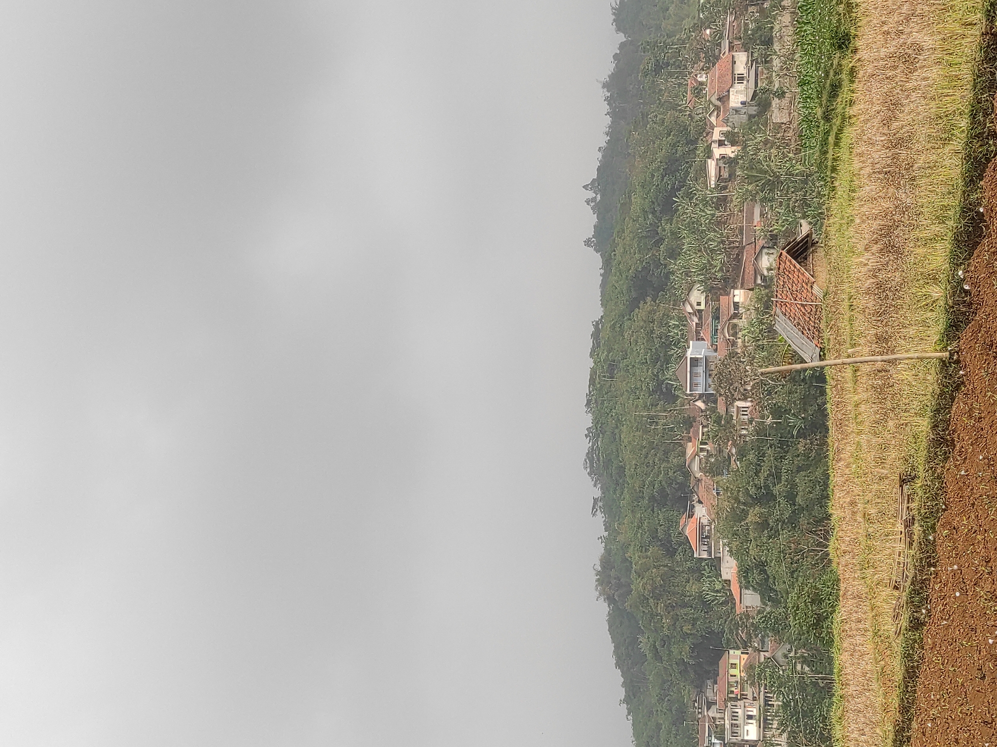 The image depicts a hazy, overcast view of a village nestled on a hillside in Sumedang, Indonesia. The foreground features agricultural land with dry, golden grass and tilled brown soil. A simple wooden pole stands vertically in the field. In the midground, a collection of houses with reddish-brown tiled roofs are visible, interspersed with lush green trees and banana plants. The houses vary in architectural style and color, suggesting a lived-in rural environment. The background is dominated by a densely forested hillside, partially obscured by mist or fog. The overall atmosphere is serene and natural, characteristic of a mountainous or hilly region. There are no people visible in the image.