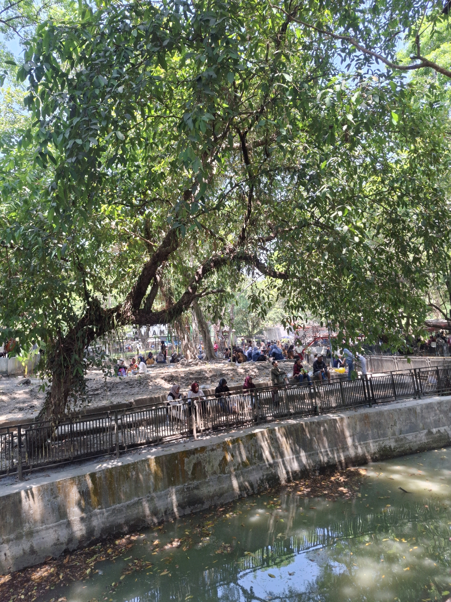 The image depicts a group of people gathered near a canal in what appears to be a park or outdoor public space in Tawun, Indonesia. A large tree with dense foliage dominates the upper left portion of the frame, casting shadows on the scene below. The canal, with murky green water and fallen leaves on its surface, runs along the bottom of the image. A concrete embankment separates the canal from a walkway, which is bordered by a dark metal fence.
Numerous individuals are seated or standing on the ground behind the fence, some appearing to be resting or socializing. They are dressed in casual attire, with some women wearing headscarves. The ground in the gathering area is uneven and appears to be dirt or mud. Beyond the immediate area of the gathering, there are hints of structures and more trees. The lighting suggests it is daytime, with bright sunlight filtering through the leaves. The overall impression is of a relaxed, communal gathering in an outdoor environment with natural elements and a man-made water feature.