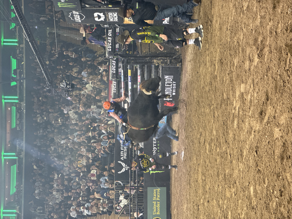A bull rider is being bucked off a black bull in an arena filled with spectators. The rider wears an orange helmet and a blue vest. The bull is kicking and twisting, throwing the rider off its back. Several people in the arena are wearing protective gear, including vests and helmets. The event appears to be sponsored by Pendleton Whisky, Monster Energy, Lucas Oil, and the United States Border Patrol, as their logos are visible on the surrounding barriers. The crowd watches intently from the stands.