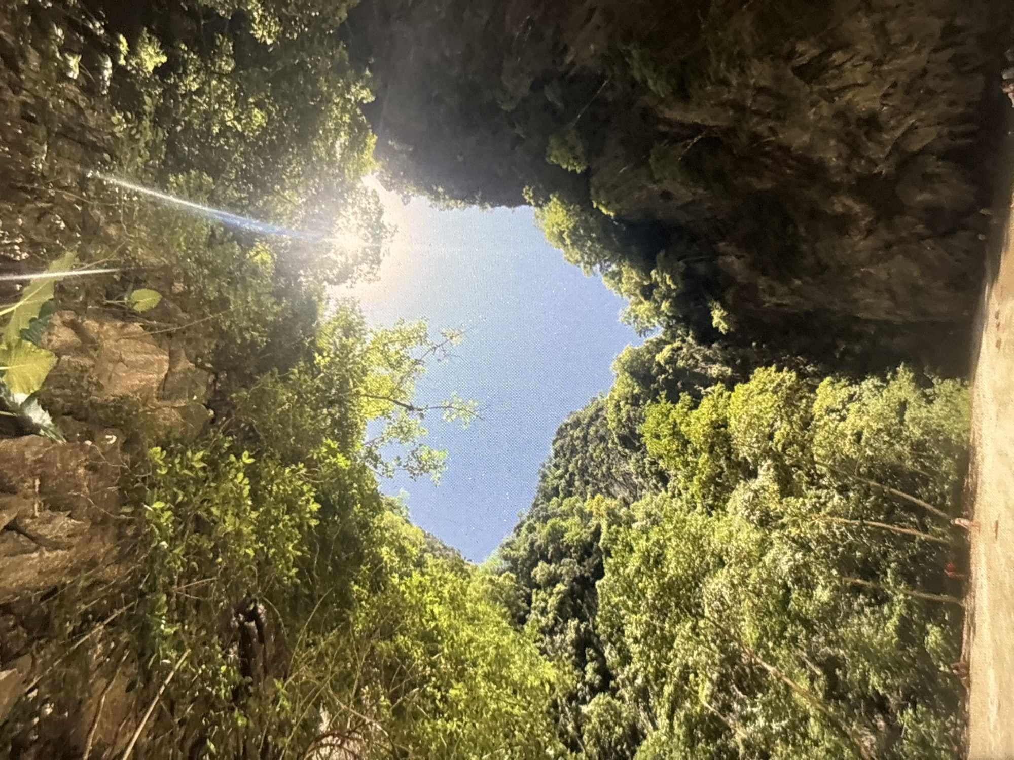 The image depicts a natural sinkhole or cave opening surrounded by lush green foliage and towering rock formations. Sunlight streams through the opening, creating a bright, ethereal glow in the sky visible through the gap. The perspective is from below, looking upwards, giving a sense of being inside a sheltered natural space looking out. The rock faces are rugged and covered in moss and vines, characteristic of a tropical environment. At the bottom of the image, a sandy or earthy ground is visible, with a few indistinct figures of people scattered on it. The scene suggests a remote natural wonder, possibly a popular tourist destination within Chalong, Thailand, known for its limestone cliffs and caves.