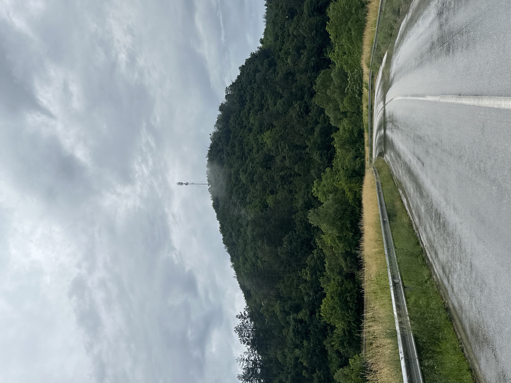 The image depicts a wet, paved road with a white dividing line curving to the right. A metal guardrail runs along the left side of the road, separating it from a grassy area and a field of tall, dry grass. Beyond the field, a dense, green forest covers the slopes of a hill. At the summit of the hill, a telecommunications tower is visible, partially obscured by a light mist. The sky is overcast with heavy, gray clouds. The scene appears to be in the vicinity of Prisovo, Bulgaria, given the context.