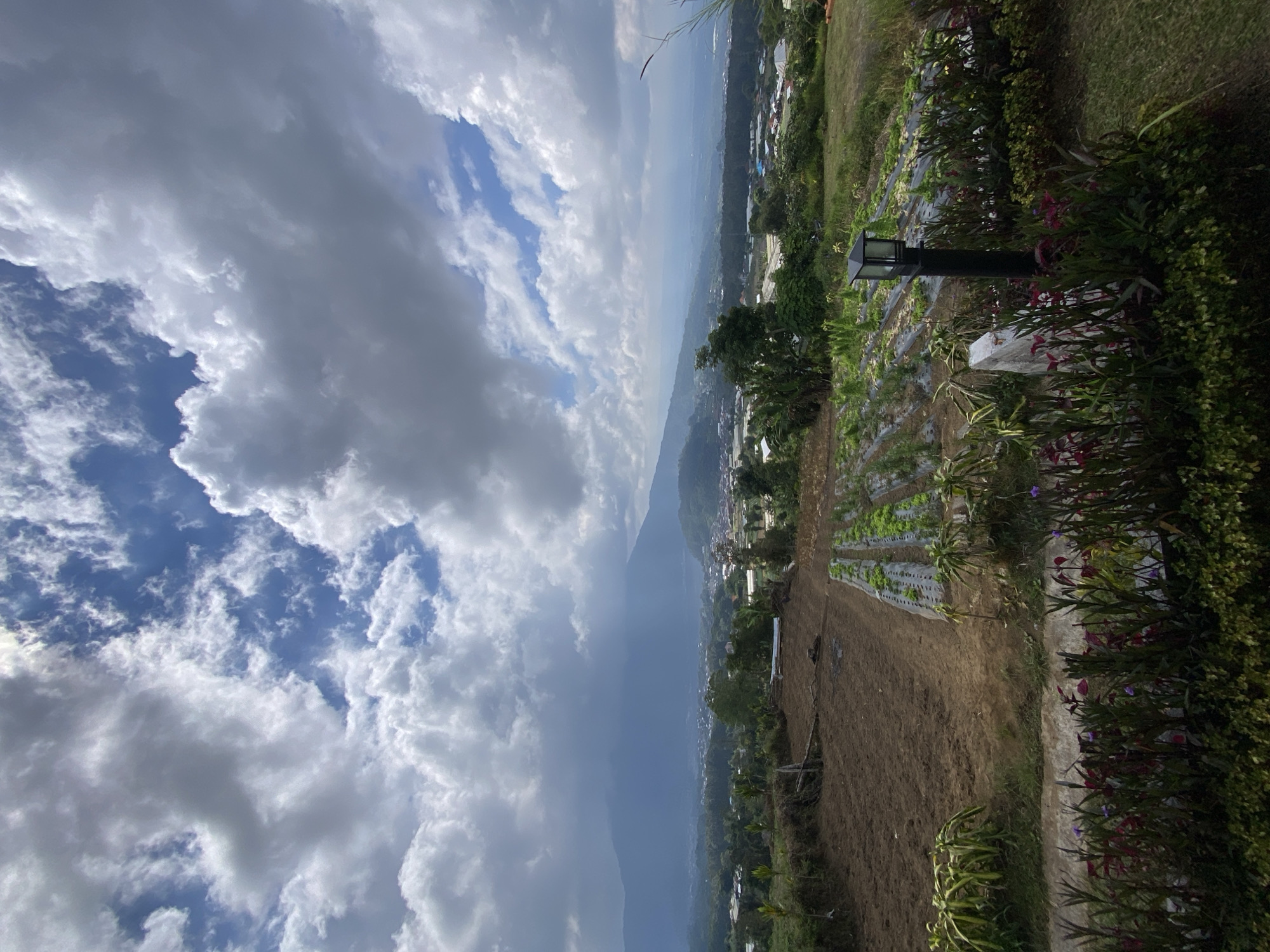 An elevated, wide-angle, vertical shot captures a landscape view in Baturiti, Indonesia. The sky is filled with dramatic, large, fluffy white and gray clouds against a bright blue sky. In the middle ground, a town or village is nestled in a valley, surrounded by lush green hills. The town features a cluster of buildings, some with red roofs, interspersed with trees. Beyond the town, a large, dark, hazy mountain range dominates the horizon. In the foreground, a terraced hillside features cultivated fields. To the left, a patch of bare brown earth is visible, possibly a newly tilled field. To the right of this, rows of young green plants, possibly lettuce or similar crops, are growing under clear plastic sheeting. A black, post-mounted outdoor light fixture stands in the foreground to the right, surrounded by dark green foliage and a few small purple flowers. The overall impression is a rural, agricultural area with a town nestled in a mountainous region, under a dynamic sky.