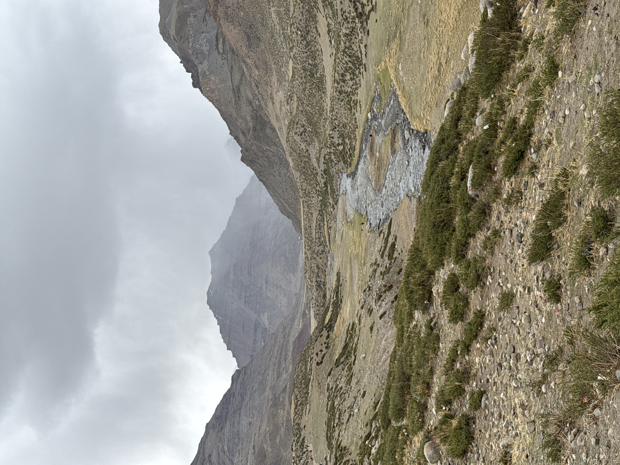 The image captures a vast and rugged mountainous landscape, likely near Parga town, China, under a heavily overcast sky. A wide valley forms the central setting, with a narrow, winding stream or river flowing through its rocky bed in the midground. The water appears shallow, reflecting the dull grey sky.
The foreground and midground consist of a mix of light brown earth, gravel, and numerous small rocks. Patches of dark green, low-lying grass or scrub are scattered across the ground, interspersed with areas of drier, yellowish vegetation.
Imposing mountain ranges rise steeply on both sides of the valley and recede into the distance. Their slopes are predominantly barren and rocky, showcasing shades of grey and brown, though some higher sections are partially obscured by thick clouds or mist. The diffused light suggests a cool, cloudy, or misty day.
A small herd of dark-colored animals, likely cattle or yaks, can be observed grazing near the base of the distant mountain slopes, adding a sense of scale and natural life to the grand, untamed environment. No people are visible. The scene conveys a feeling of remoteness, tranquility, and natural grandeur. There is no discernible text in the image.