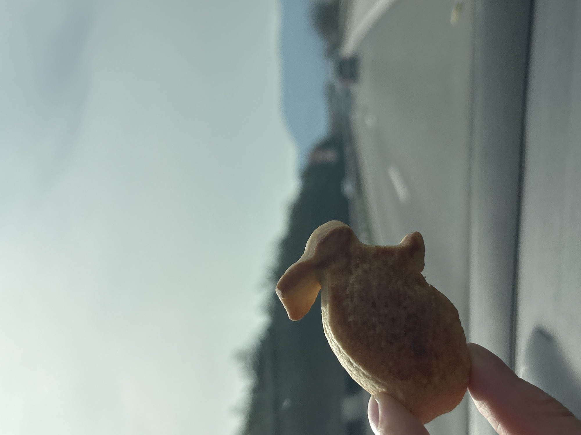 A hand holds a small, tan-colored cookie shaped like an animal, possibly a sheep or a dog, against a blurred background of what appears to be a road, trees, and a cloudy sky. The location in the city of Церово, Bulgaria cannot be determined from the provided image.