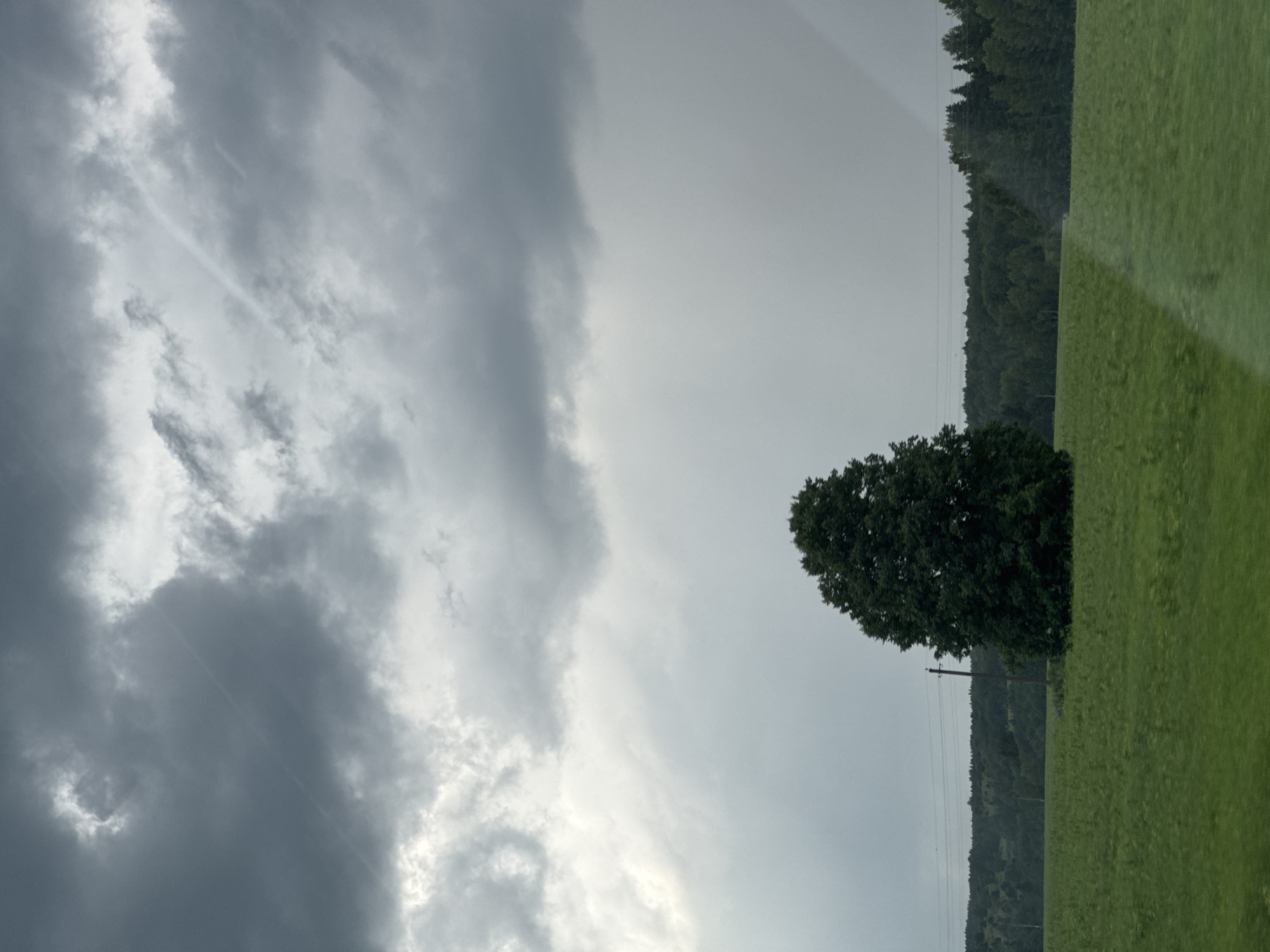 The image depicts an outdoor scene with a prominent overcast sky filled with dramatic, dark clouds on the left and a lighter, brighter sky on the right. A solitary, mature tree stands in the middle ground, its dark green foliage contrasting with the muted tones of the sky. Beyond the tree, a line of dark green trees forms a dense forest bordering a bright green, grassy field that occupies the right side of the frame. Power lines are visible stretching across the scene, supported by a utility pole. The overall impression is that of a cloudy, possibly stormy day, with the light suggesting it could be late afternoon or early evening. The location appears to be rural or semi-rural, with elements of natural landscape and infrastructure. There is no visible text in the image.