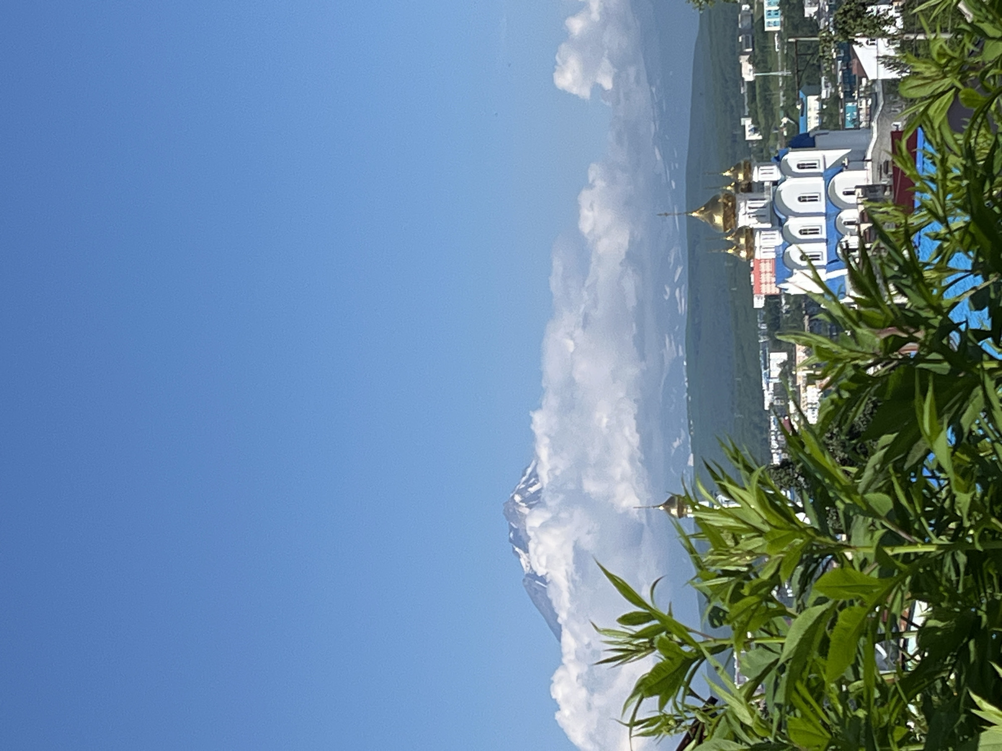 An outdoor, eye-level, vertical, daylight, medium shot captures a view of a white and blue domed church in the foreground with a snow-capped volcano visible in the distance, nestled within a cityscape of Petropavlovsk-Kamchatsky, Russia. Green foliage is in the immediate foreground, slightly obscuring the lower portion of the church. The church features a white facade with blue trim around arched windows and a bright blue roof. It is adorned with multiple golden domes, each topped with a cross. Behind the church, a sprawling urban landscape unfolds, characterized by various buildings and structures. Beyond the city, a majestic snow-capped volcano emerges from a layer of white clouds, its peak partially obscured. The sky above is a clear, vibrant blue, suggesting fair weather conditions.