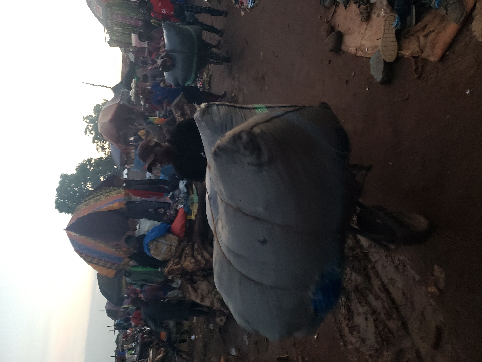 The image depicts a bustling outdoor market scene in Kakuri Gwari, Nigeria, likely during the late afternoon or early evening. The ground is a mixture of reddish-brown earth and mud, suggesting recent rainfall or a damp environment. In the foreground, a large, grey, tightly bound bundle is being transported by a wheelbarrow, which is partially visible. The bundle appears to be made of fabric or similar material and is secured with ropes. A person, wearing a dark cap and shirt, is pushing the wheelbarrow.
In the background, a variety of market stalls and tents are set up, many with colorful fabrics. People are actively moving about, some carrying goods, others browsing. Umbrellas, some with intricate patterns, provide shade. The sky is a pale, overcast grey, indicating a diffused light source. The overall impression is one of lively commerce and activity in a somewhat unpaved, open-air marketplace.