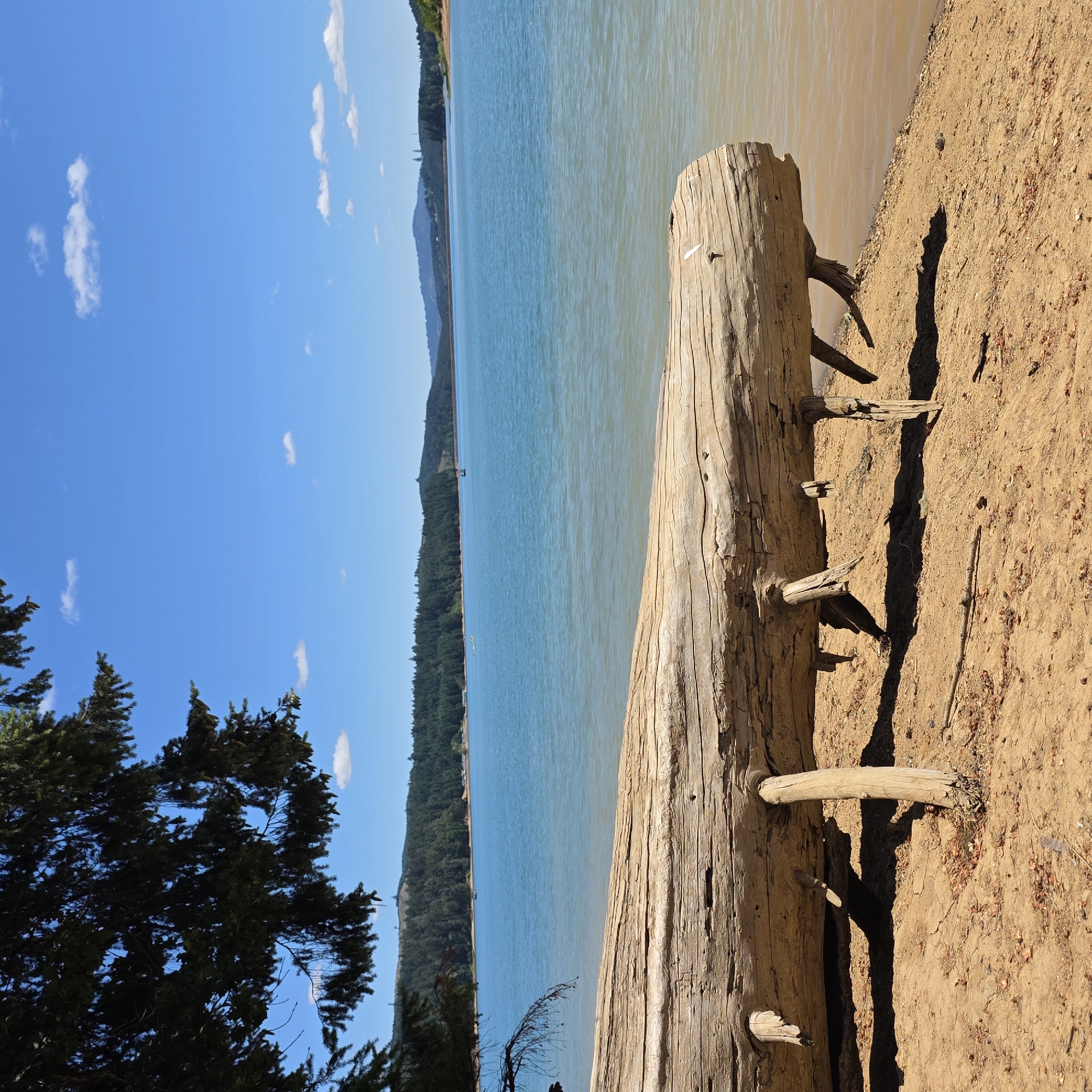 An eye-level, medium shot captures a sunlit scene of a body of water in Cherry Grove, United States. In the foreground, a large, weathered log lies on a sandy shore, supported by several smaller wooden stakes. The log is textured with cracks and knots, indicating its age. Behind the log, a vast, calm expanse of turquoise water stretches towards a distant tree-lined shore. The sky above is a clear, vibrant blue, dotted with a few small, white clouds. The overall atmosphere is serene and natural.