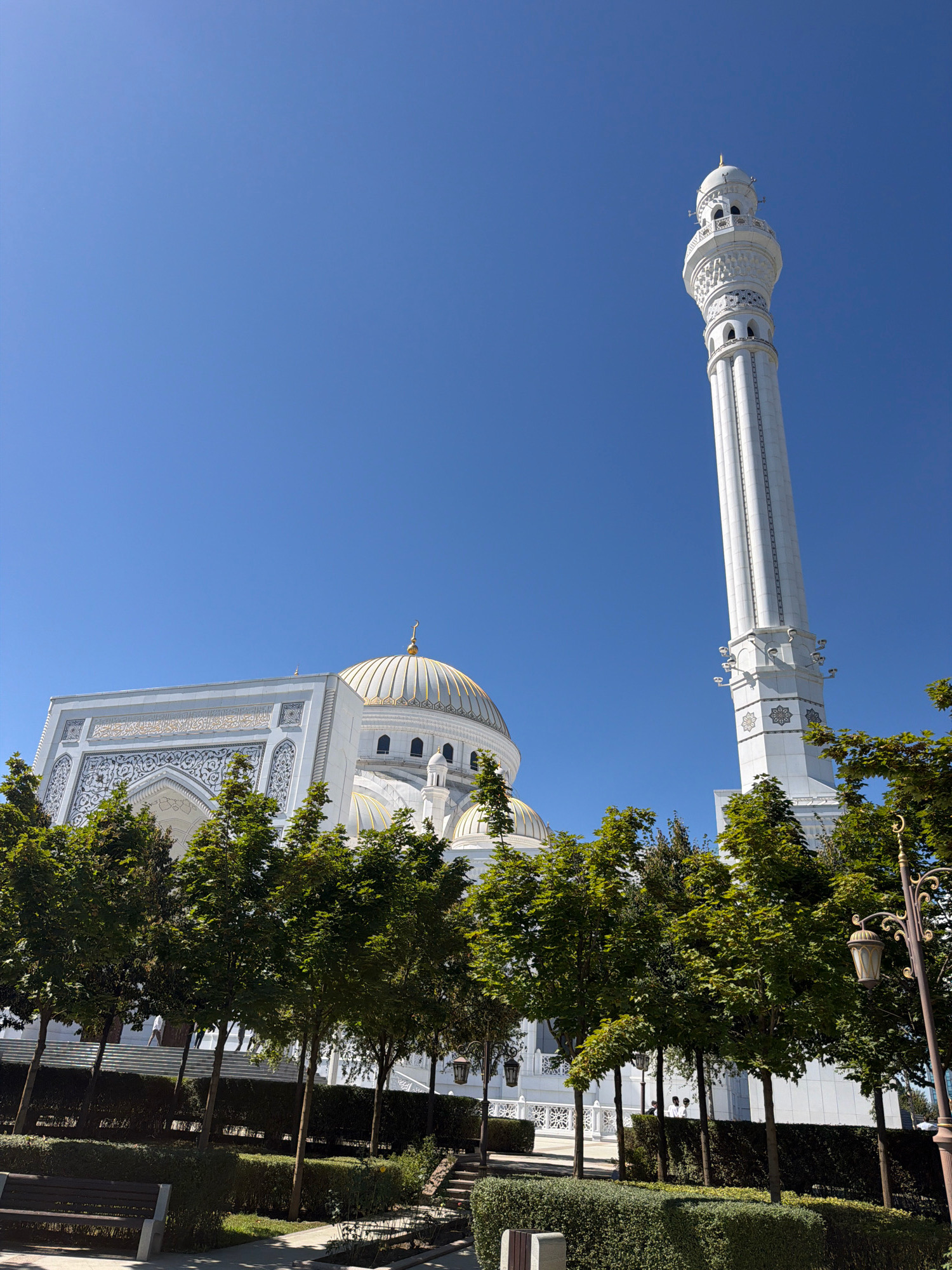 A wide, low-angle shot captures the white facade of the Akhmad Kadyrov Mosque in Shali, Russia, under a clear, bright blue sky. The mosque features a prominent, tall, white minaret on the right, adorned with intricate white latticework and several levels of balconies. To the left, a portion of the main mosque building is visible, with a large, golden dome topped by a crescent. The mosque's exterior displays detailed white relief carvings and Arabic script. In the foreground, a row of young, leafy green trees stands in front of a manicured hedge. The trees are spaced evenly and cast shadows on the ground. A dark wooden bench is situated to the left, and a decorative lamppost with a vintage design stands on the far right. Sunlight illuminates the scene, creating sharp contrasts and highlighting the architectural details of the mosque.