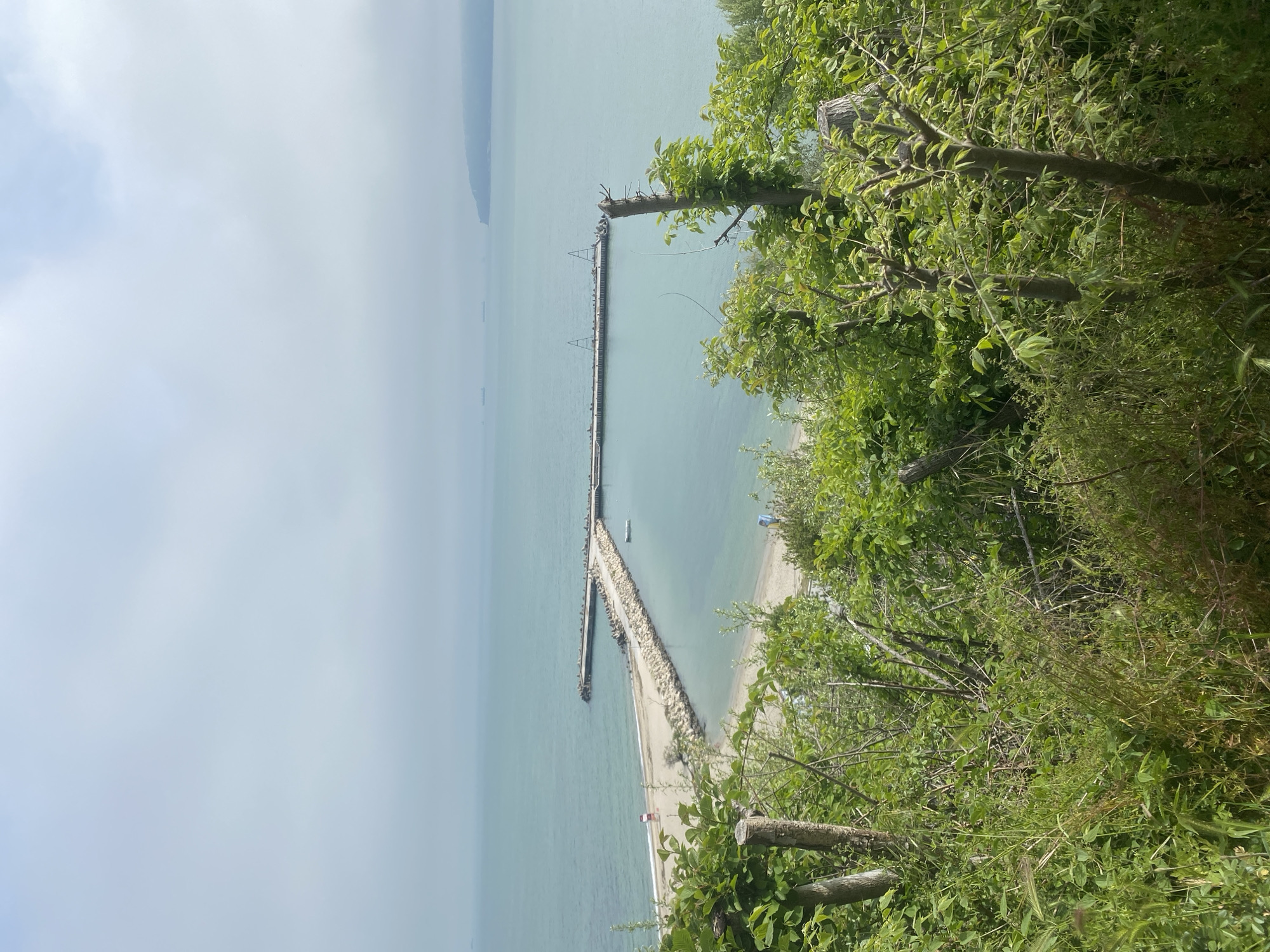 The image shows a long pier extending into the sea, with a beach and vegetation in the foreground. The pier appears to be made of concrete and extends far into the water. The beach is sandy and there are some people on it. The vegetation in the foreground is green and lush. The sky is overcast and the sea is calm. The location is likely in Varna, Bulgaria.
